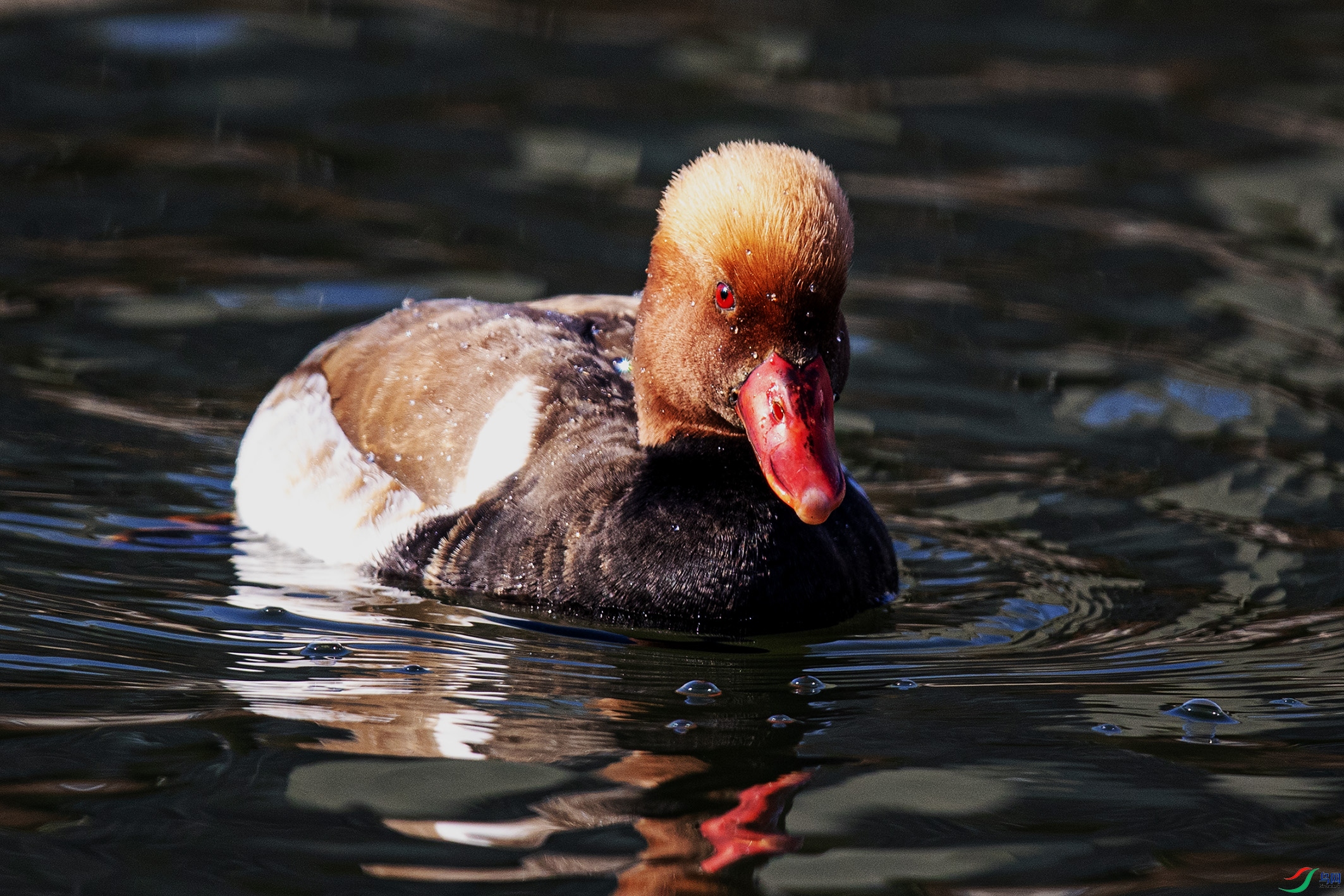 _90I2578 ���� 2.jpg