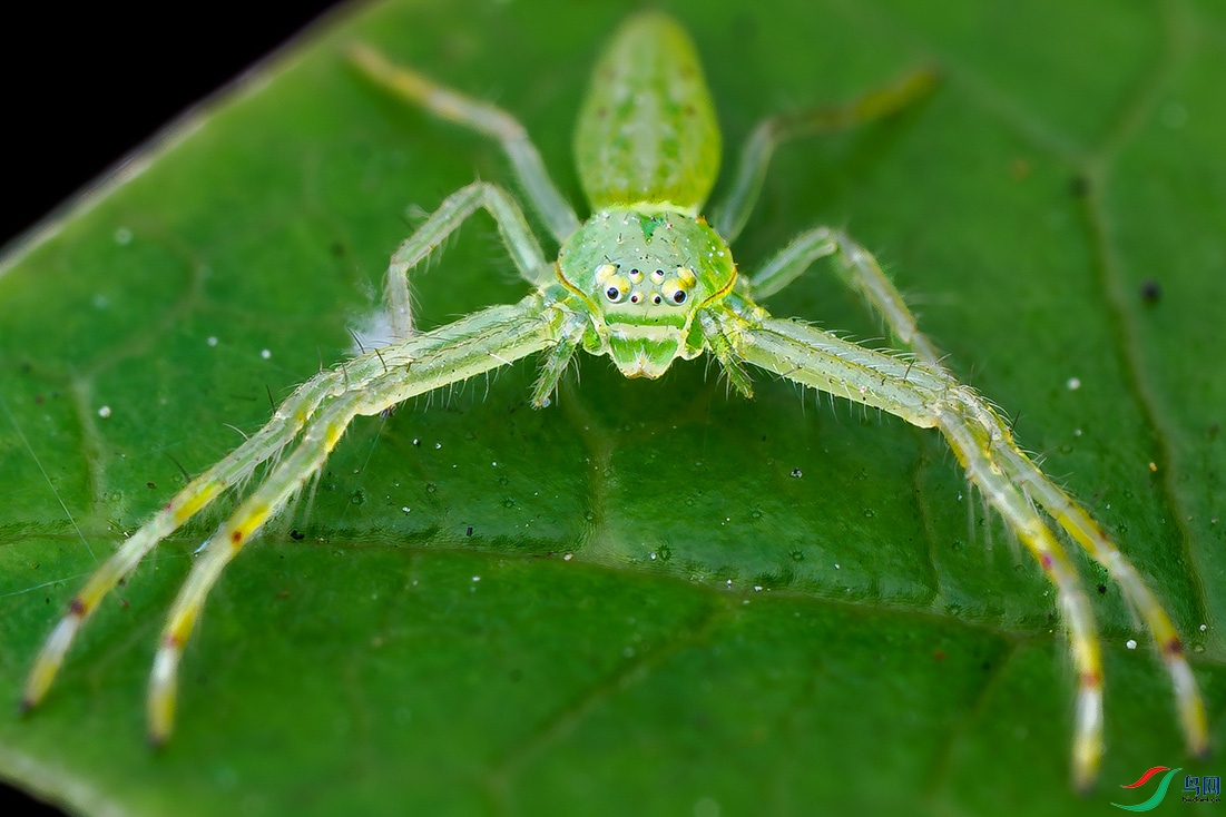 932P2190053.jpg