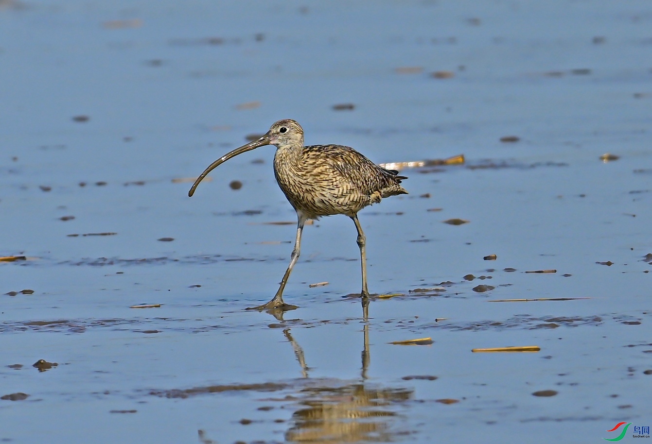 _DSC4485f.jpg