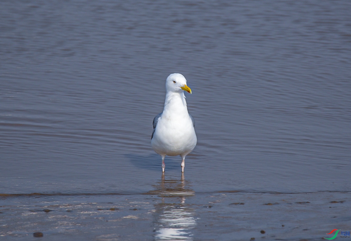 DSC_6268f.jpg