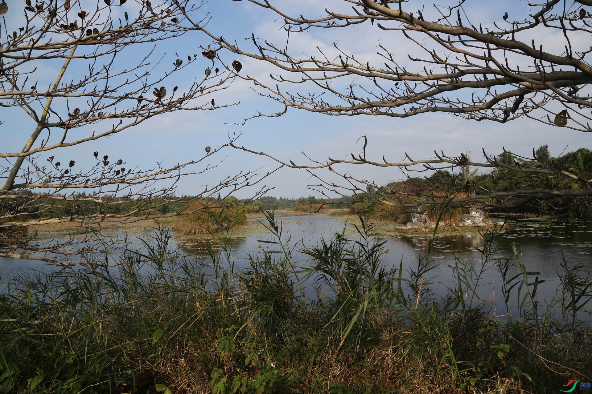 ��β����ʪ�ع�԰