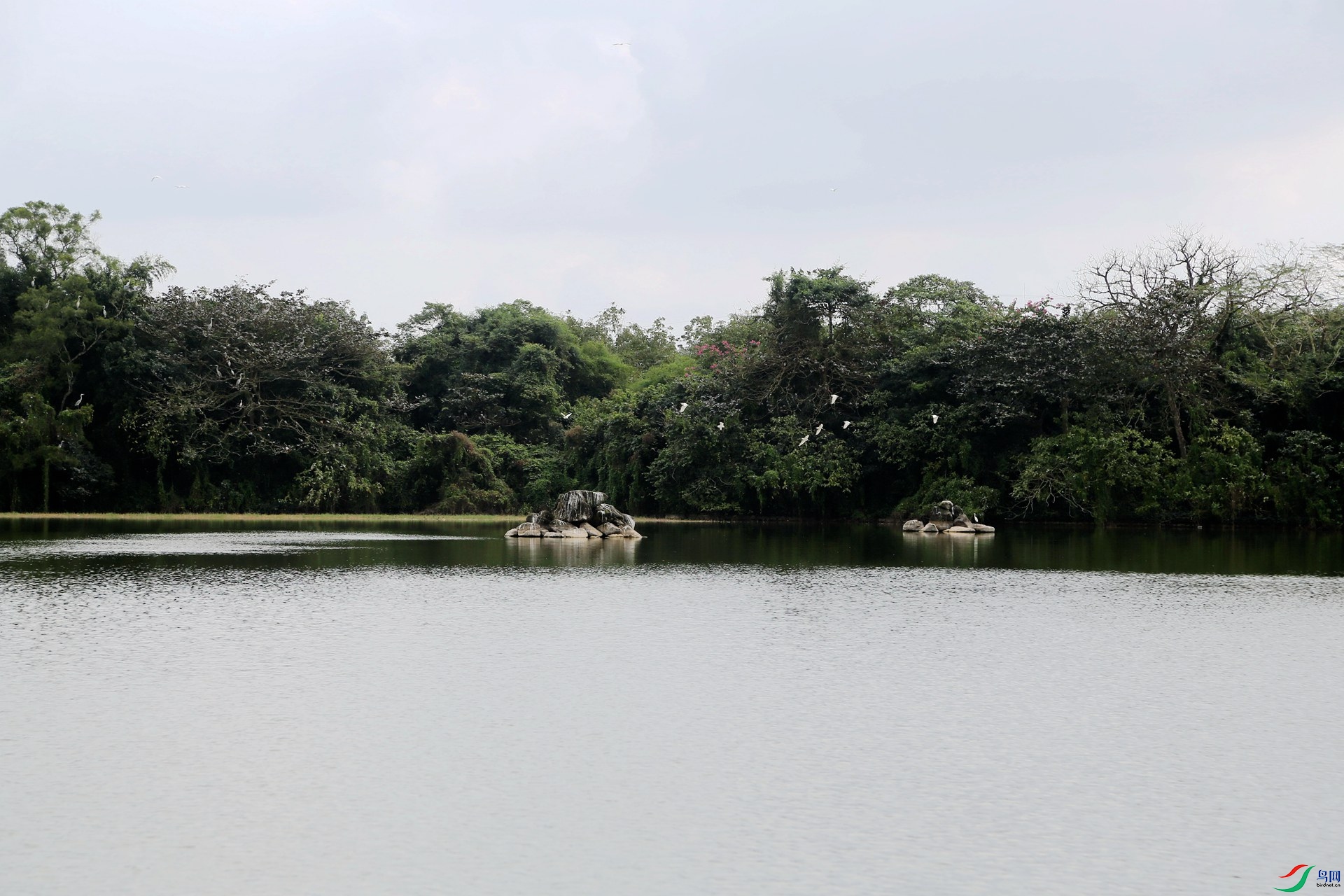 �Ĳ�����ɽ���ౣ����