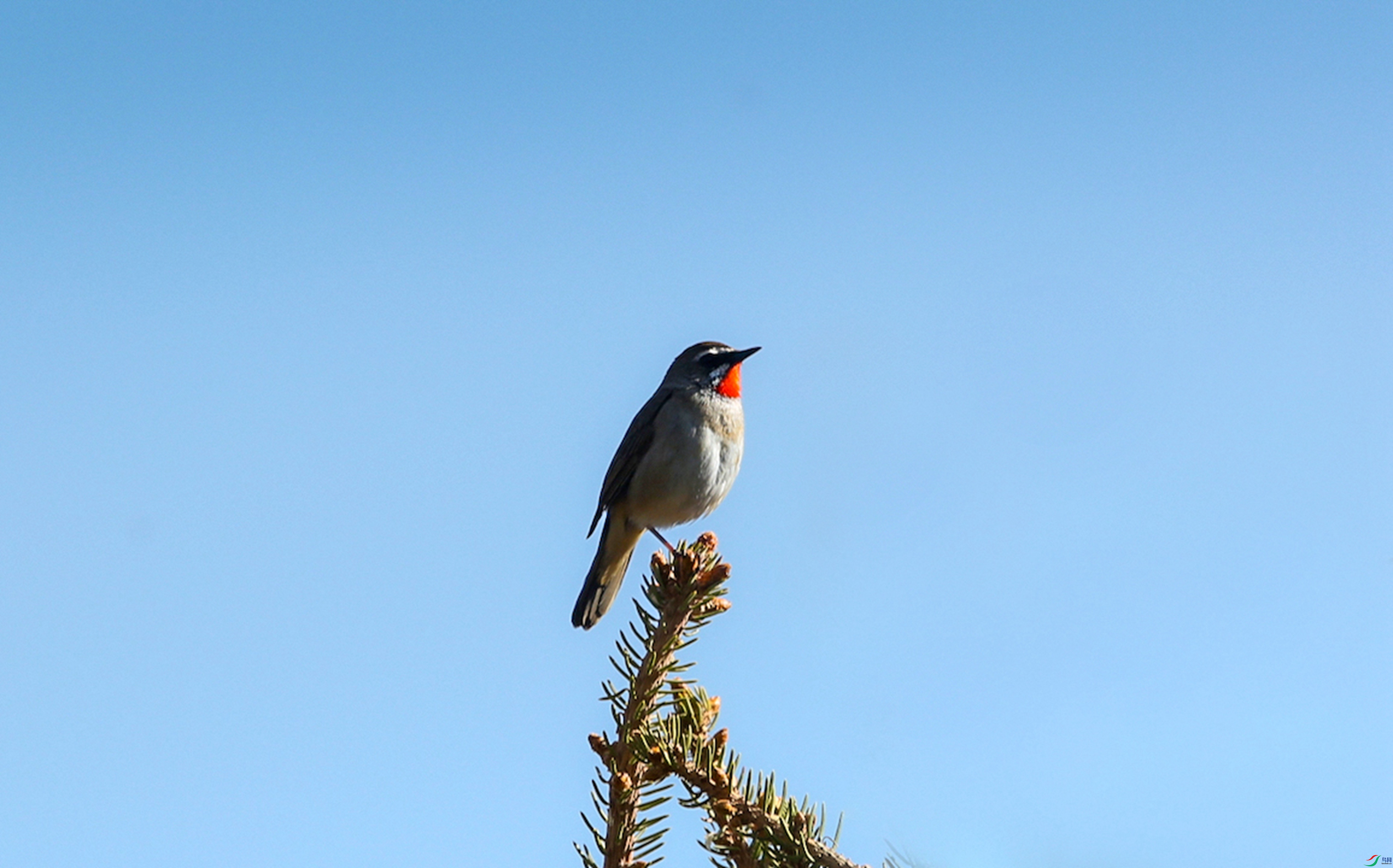 X39A9556 - ����.jpg