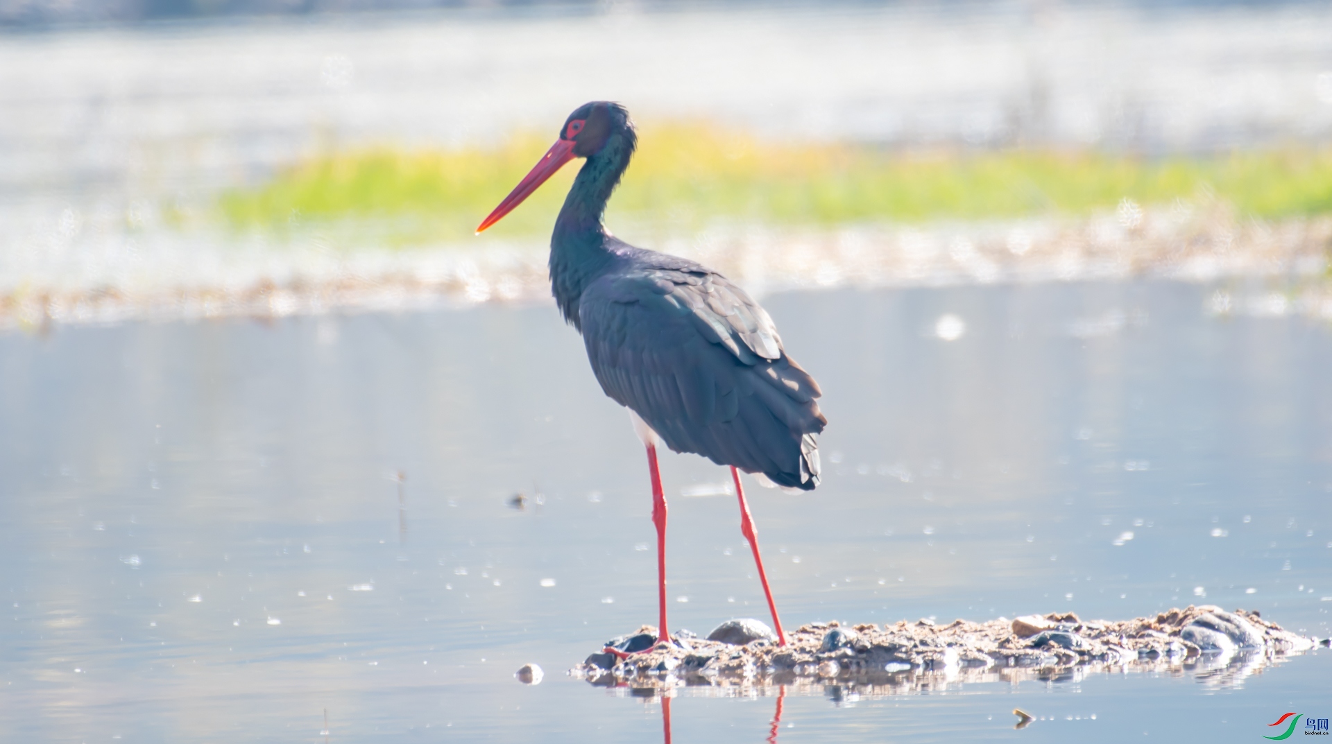 DSC_1621_1.jpg