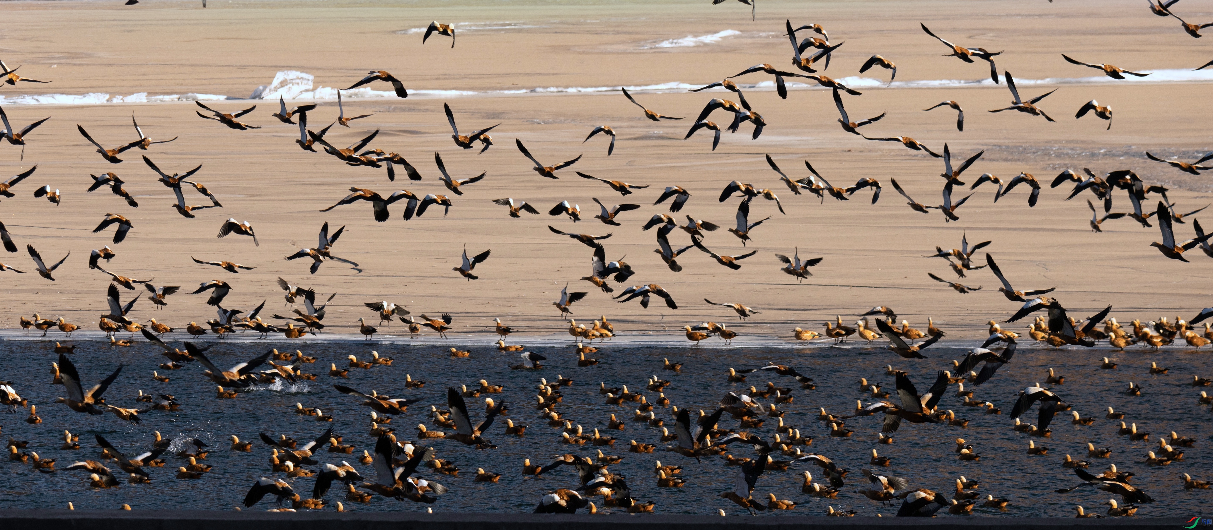 7X5A9672-01 - ����.jpg