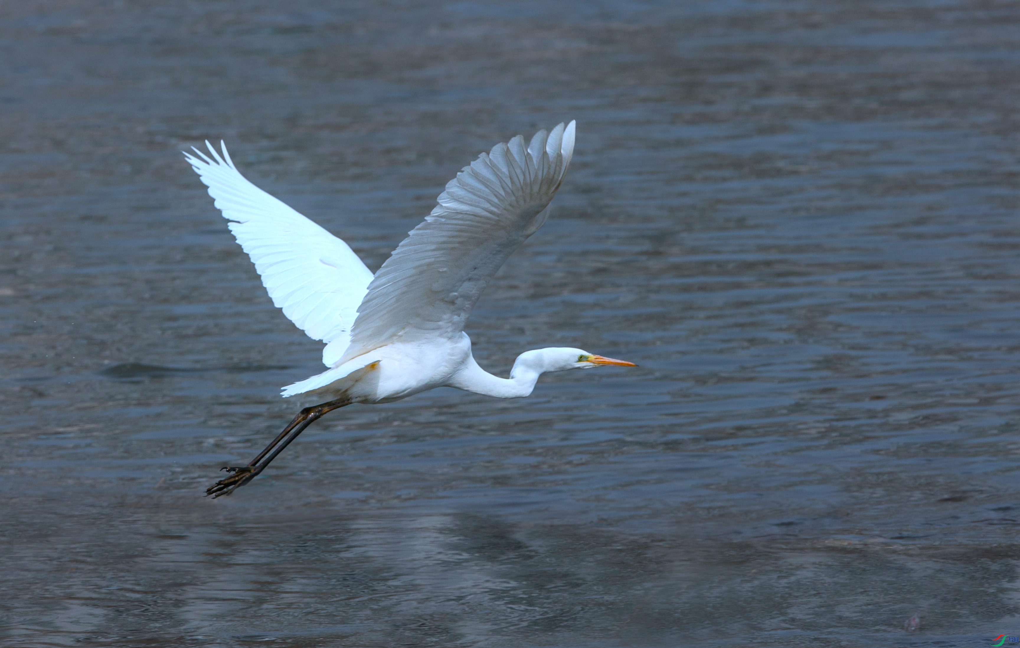 X39A2497 ���� - ����.jpg