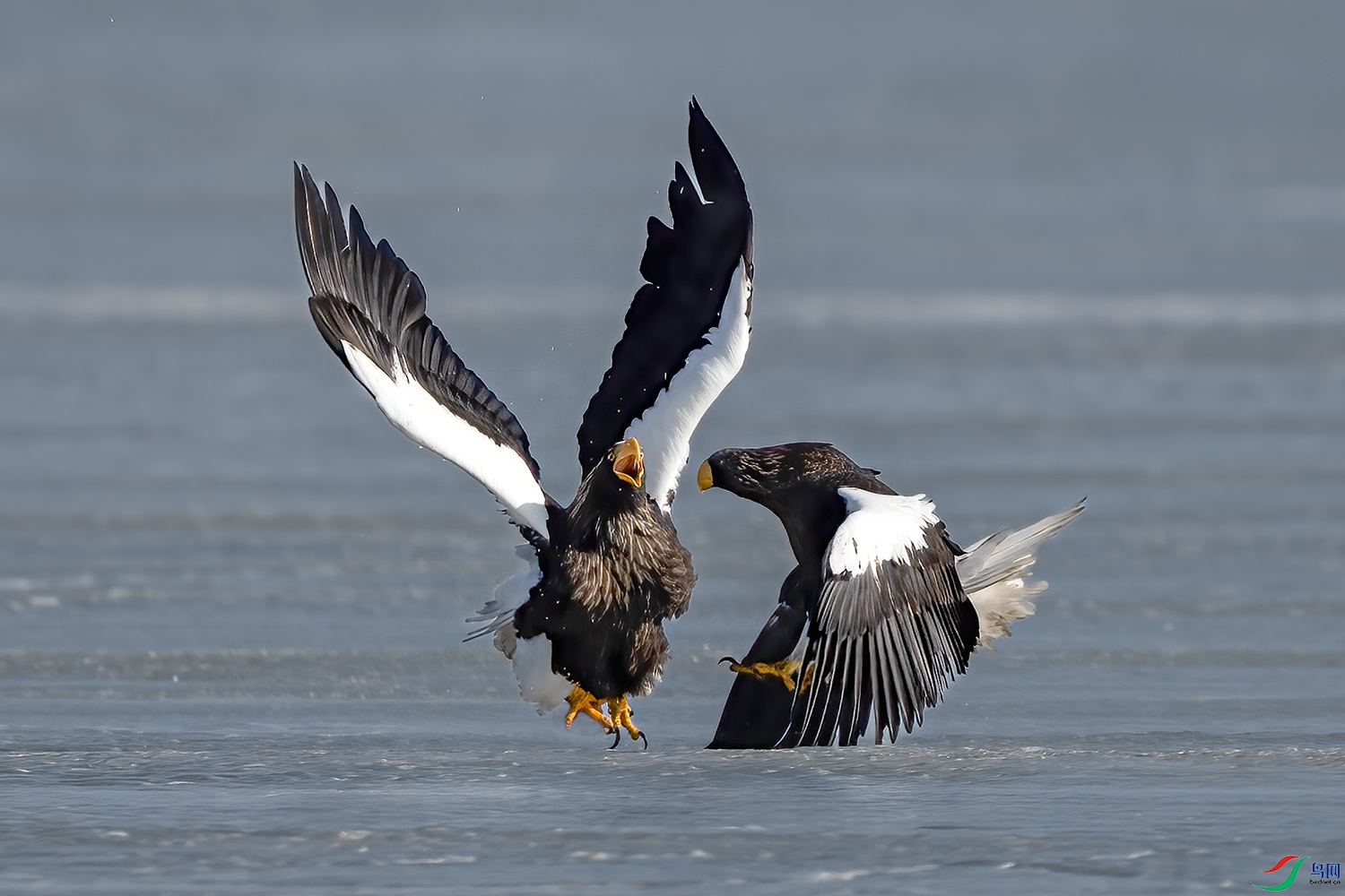 _DSC2924-1.jpg