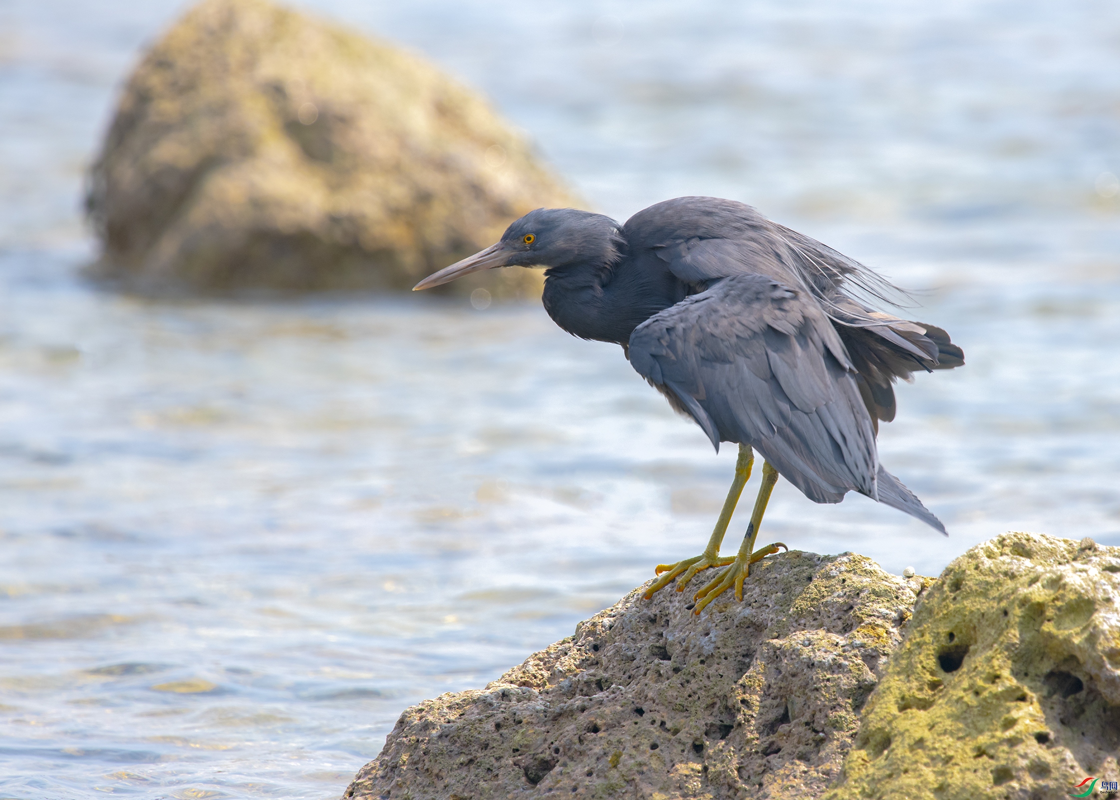 1805 ����.jpg