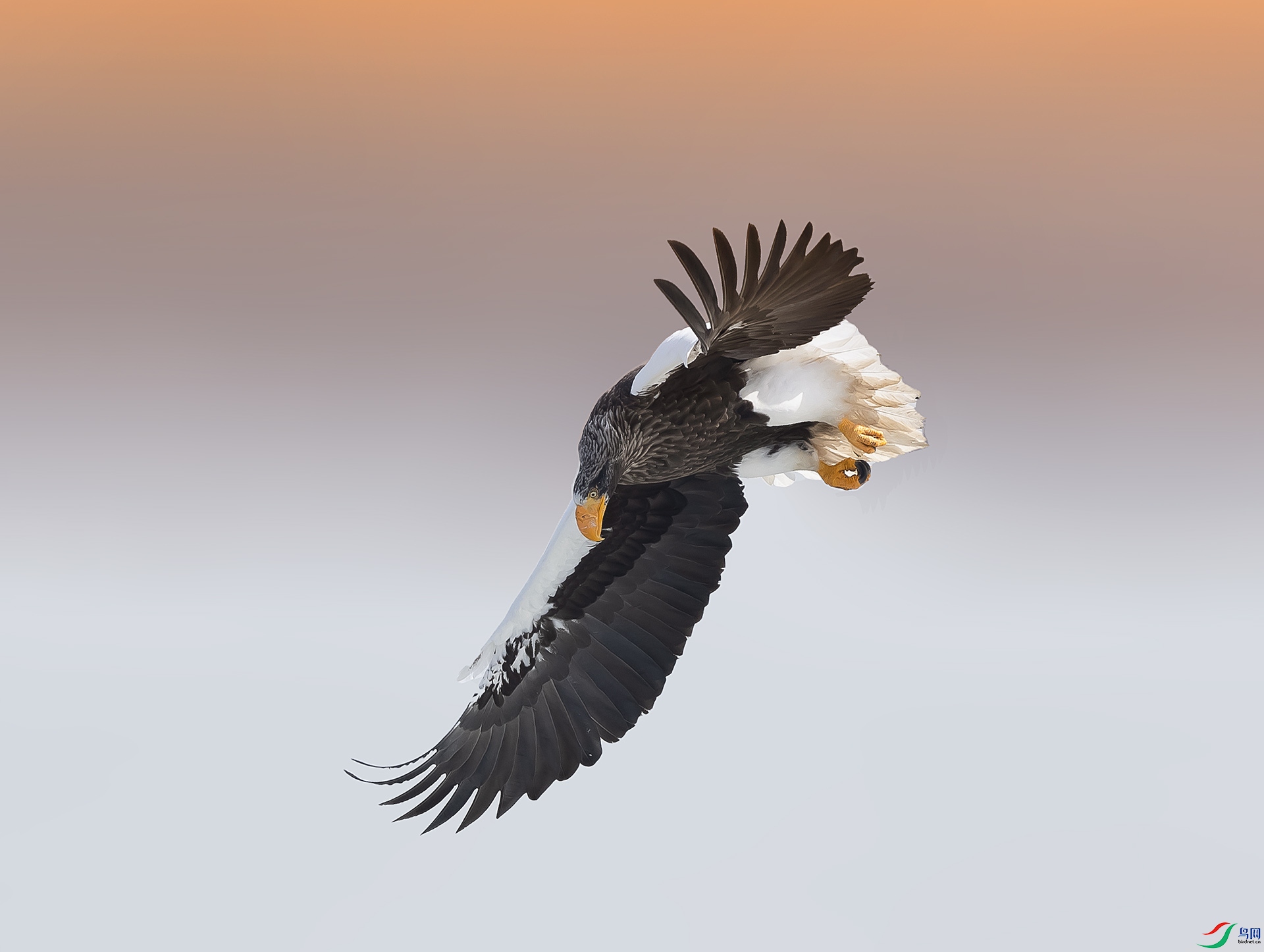 019A0568900 ����.jpg