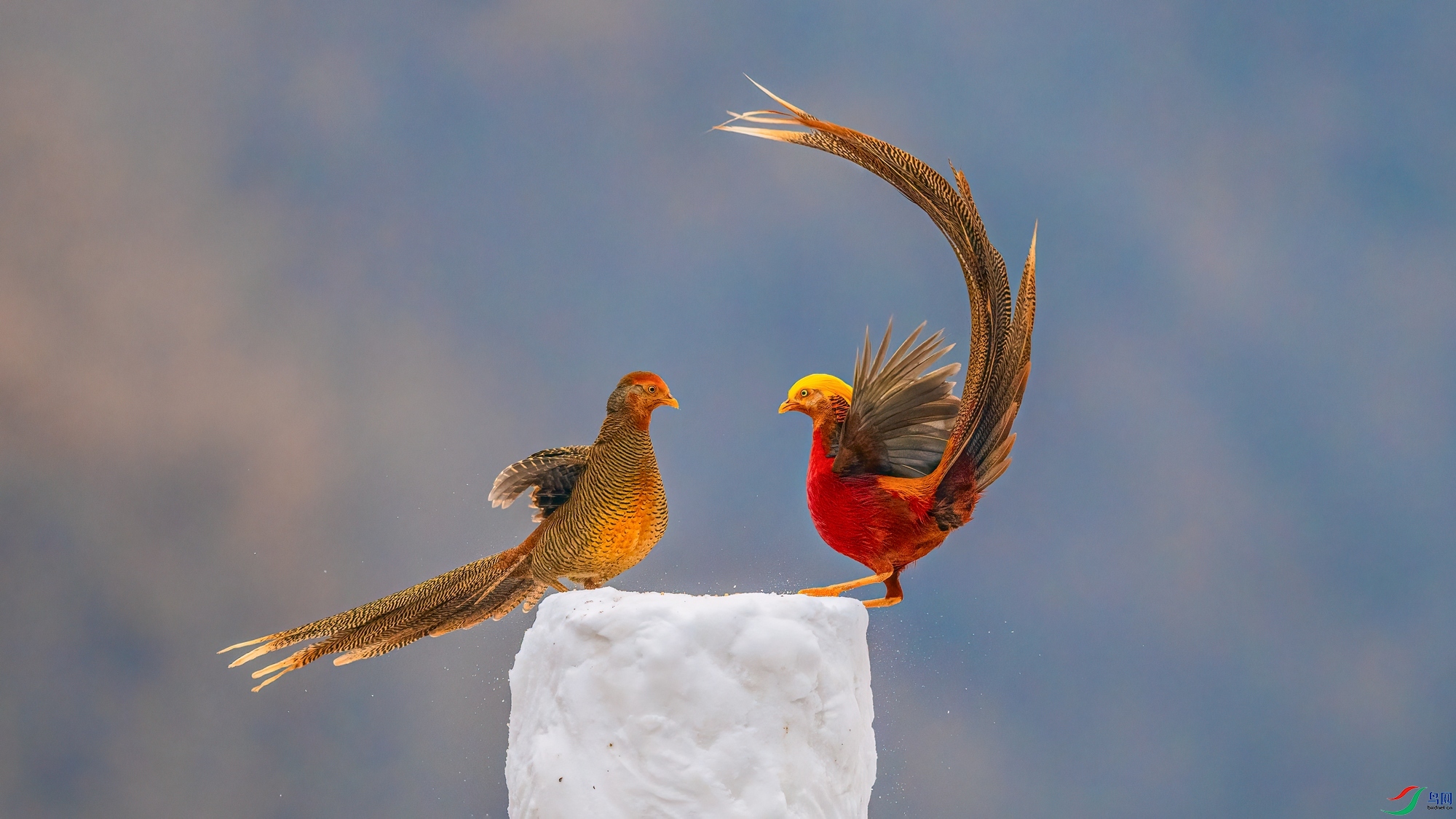 ��ƬDSC_4775 ����.jpg