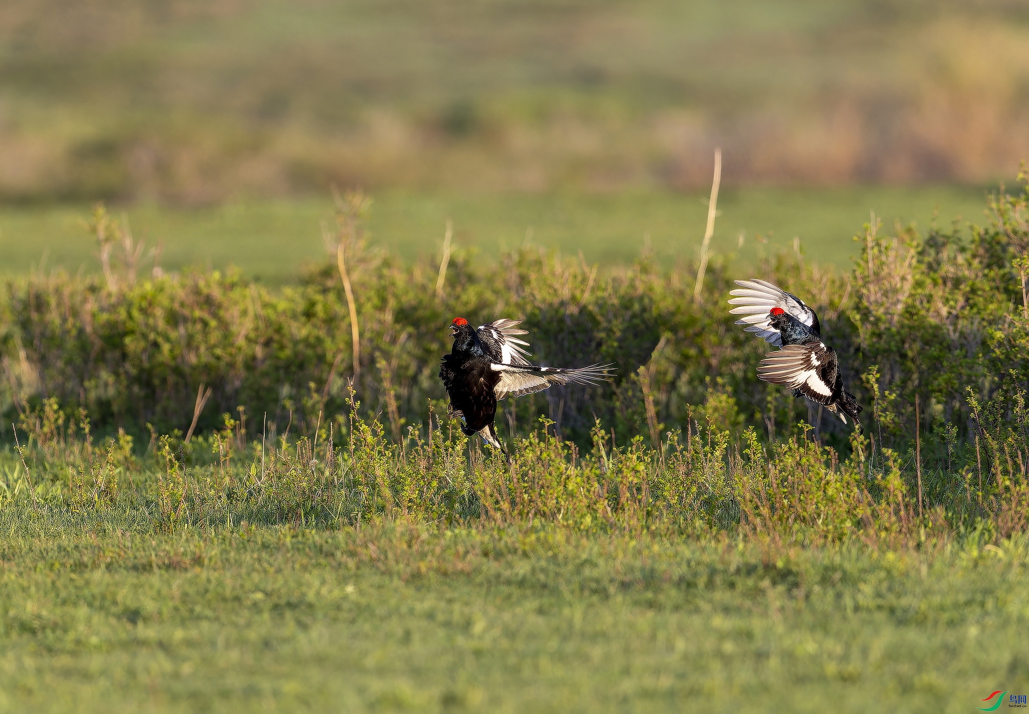 ���ټ� (15)-1.jpg