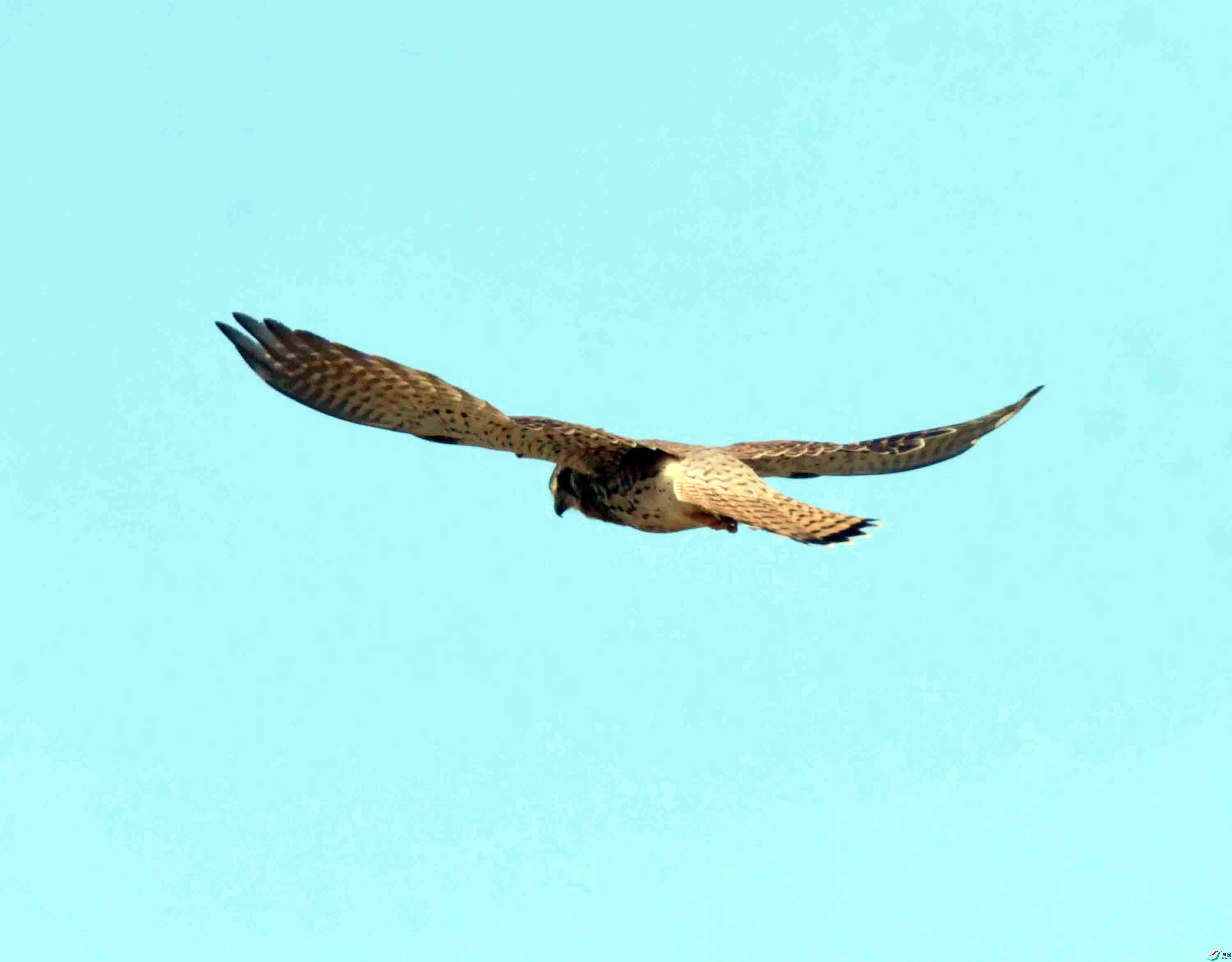 DSC_3114.JPG