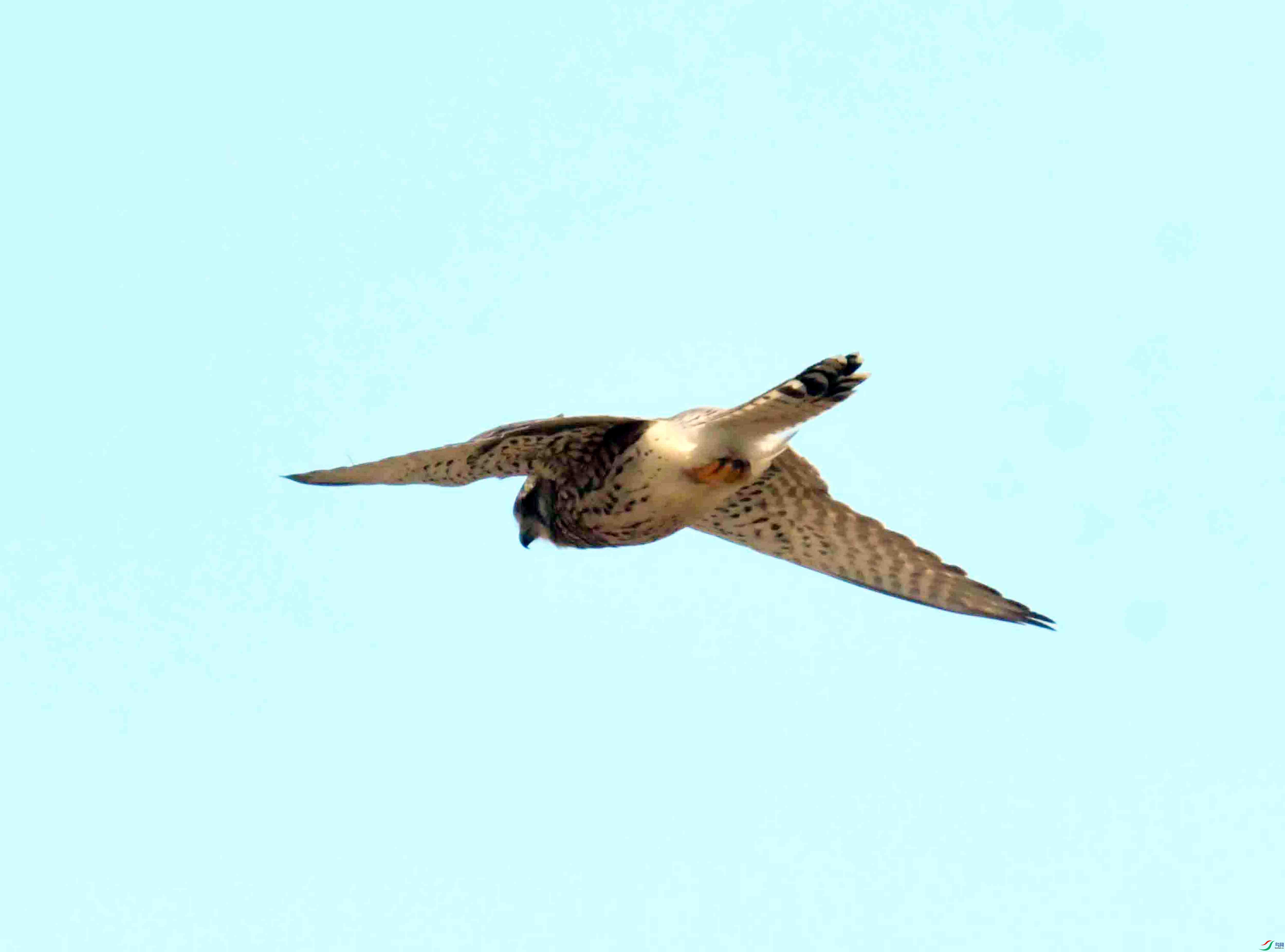 DSC_3117.JPG