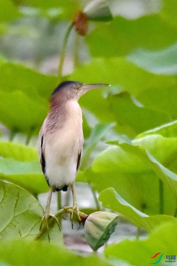 DSC_5454.JPG
