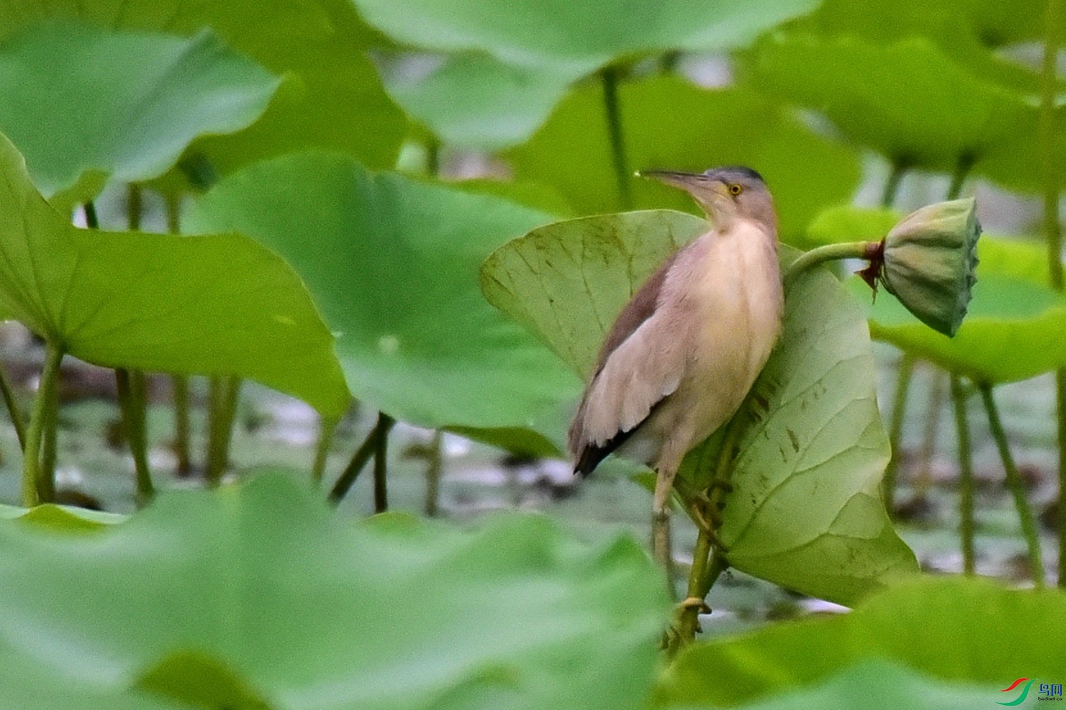 DSC_5419.JPG