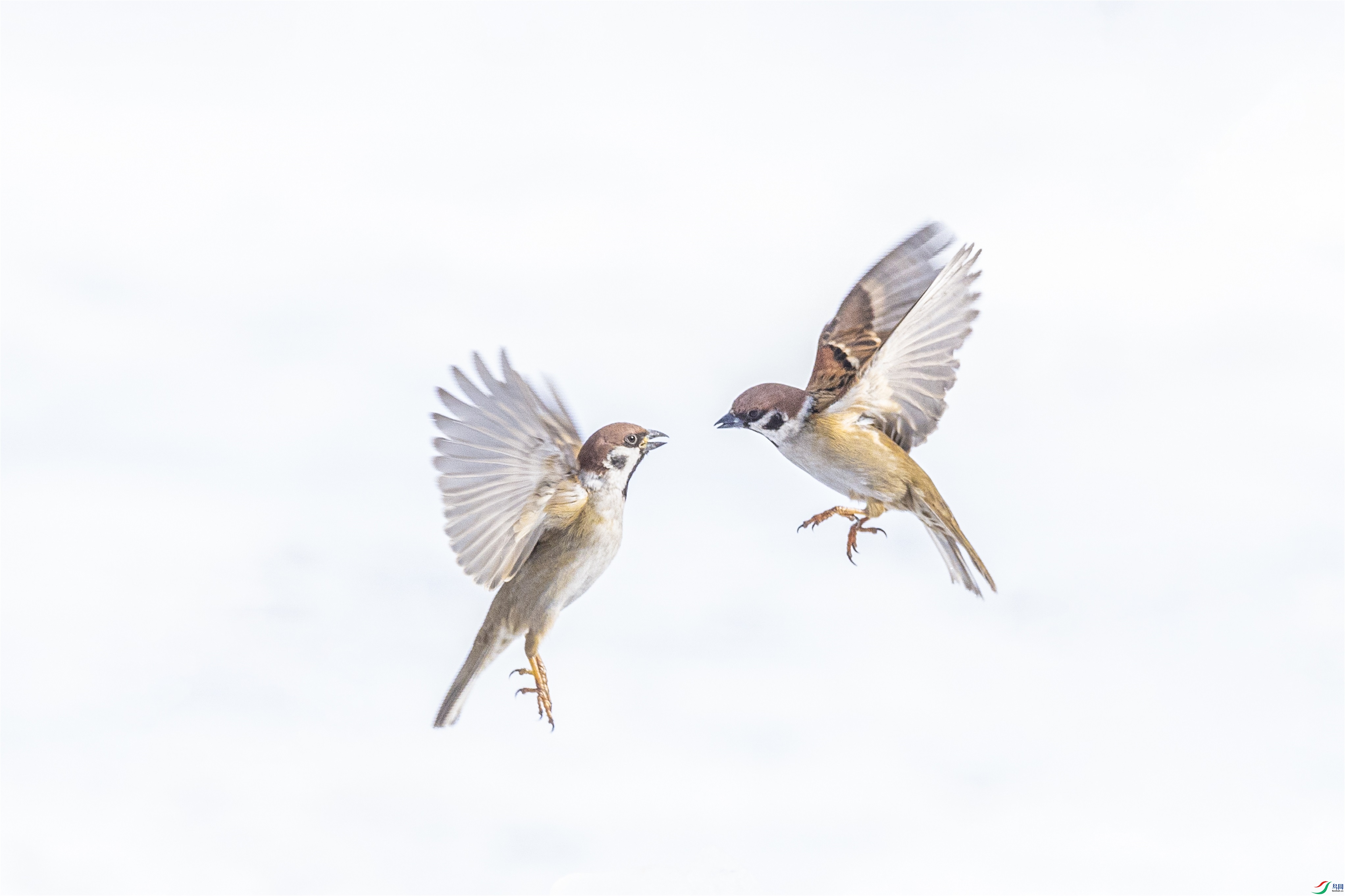 1K3A3550 ����1.jpg