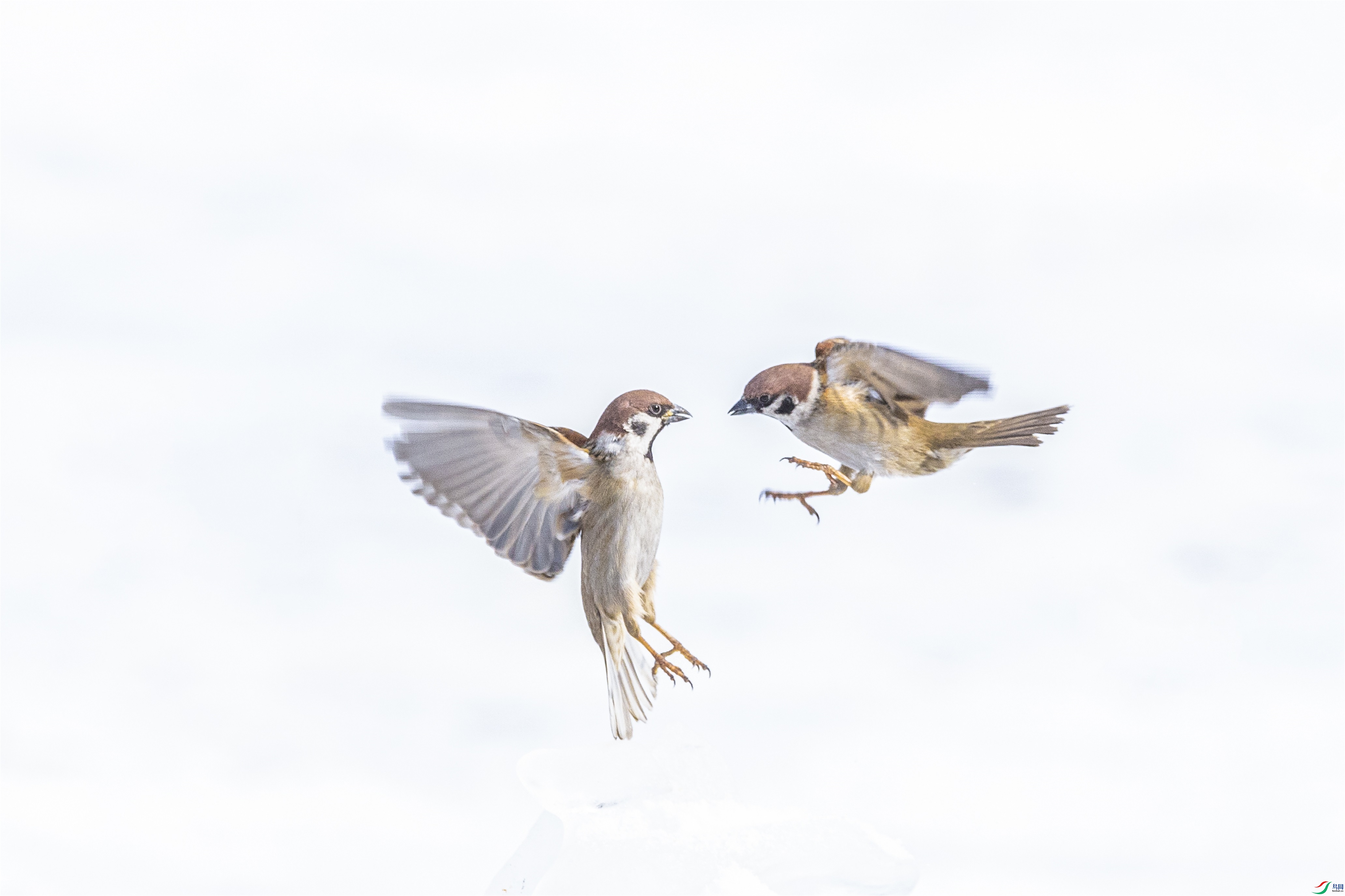 1K3A3549 ����1.jpg