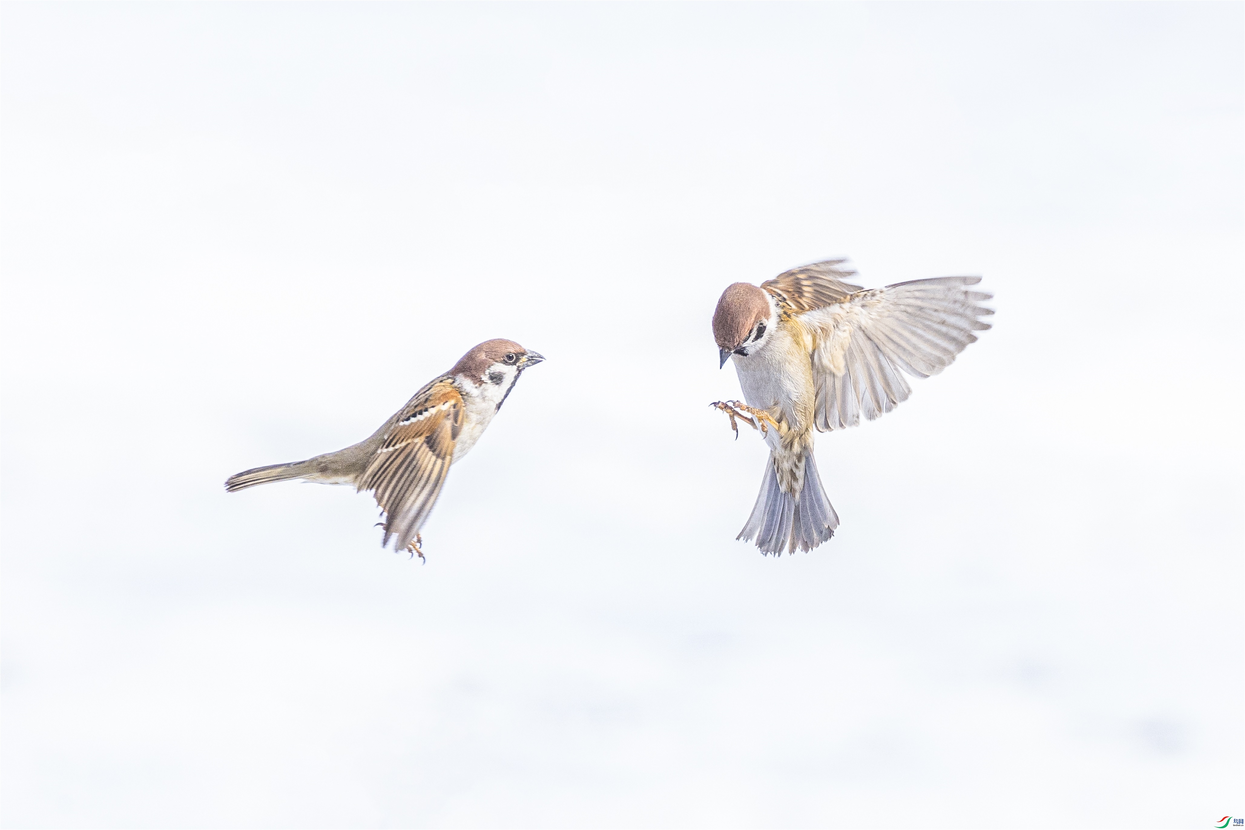 1K3A3553 ����1.jpg