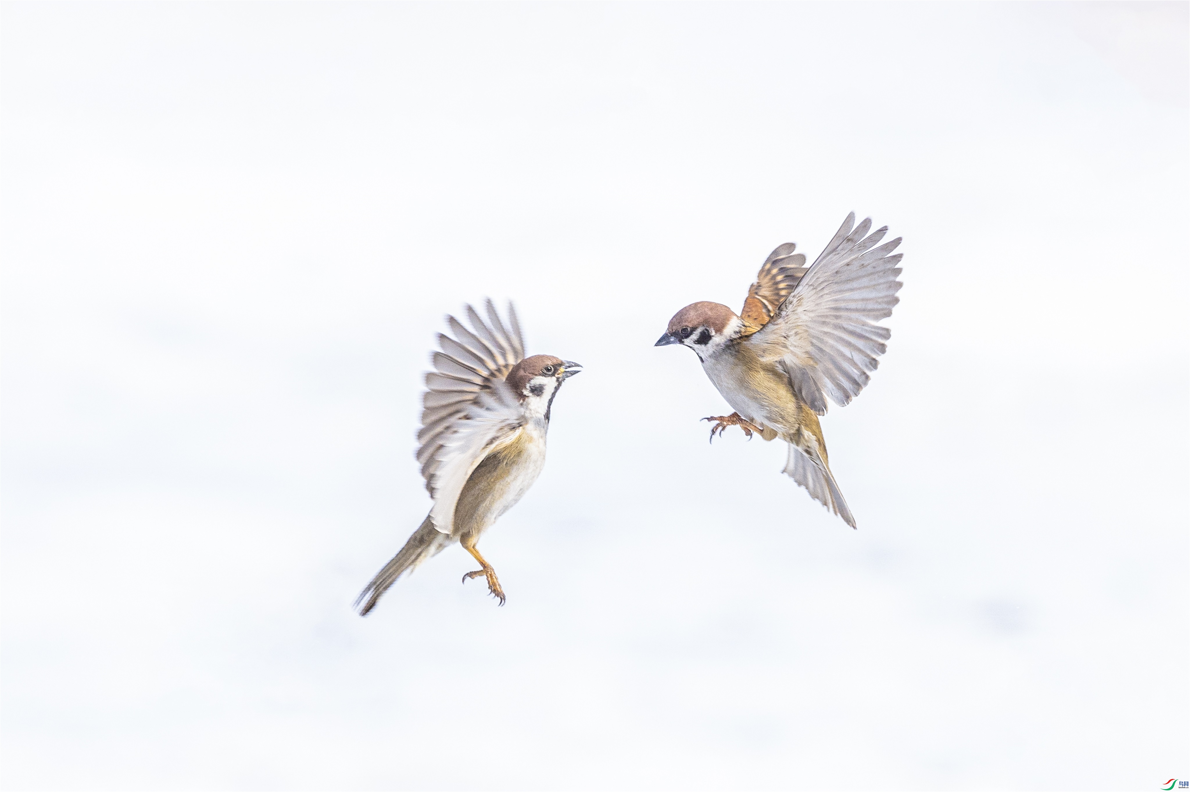 1K3A3551 ����1.jpg