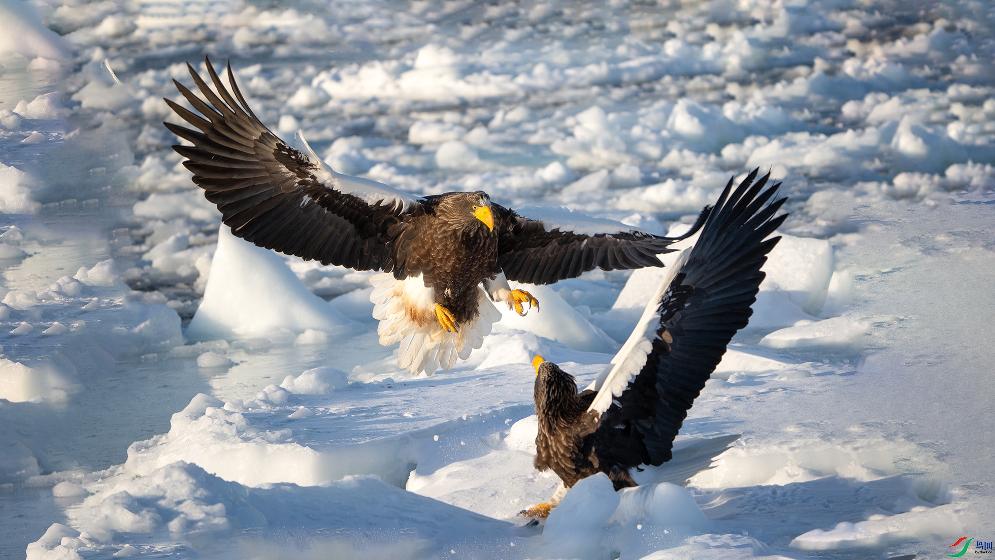 _DSC2324 ����.jpg