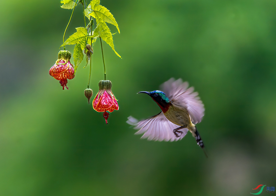 DSC05590-ARW_DxO_DeepPRIME-2 ����.jpg