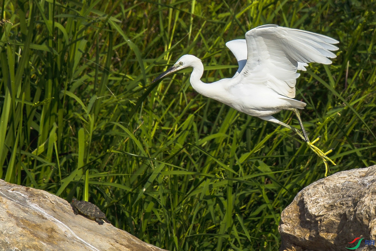 _MG_1232 ����.jpg