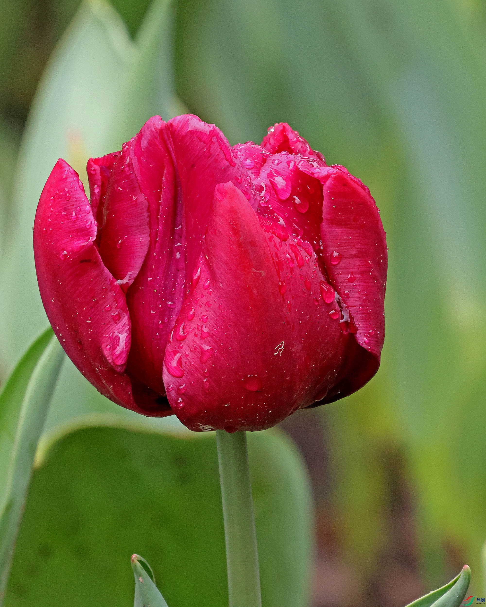 2G9A7910.JPG