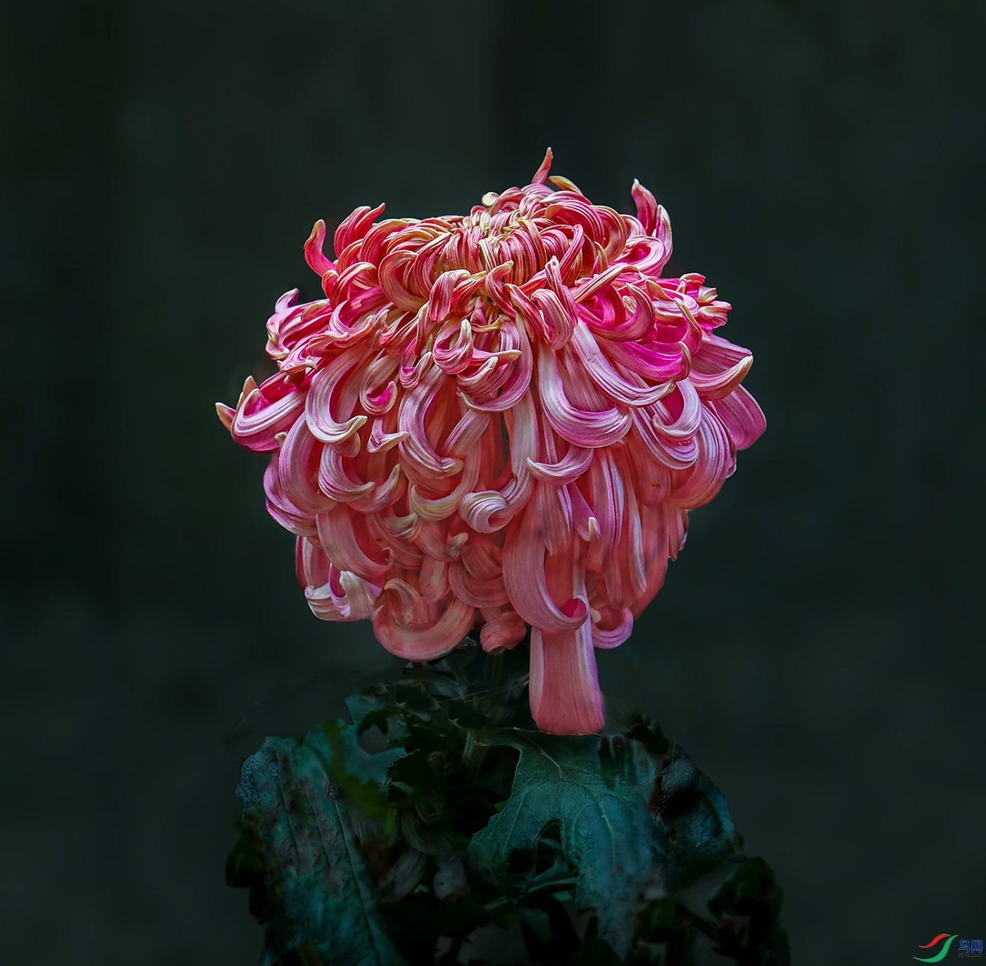 0000583A0190 ���� 1000k.jpg