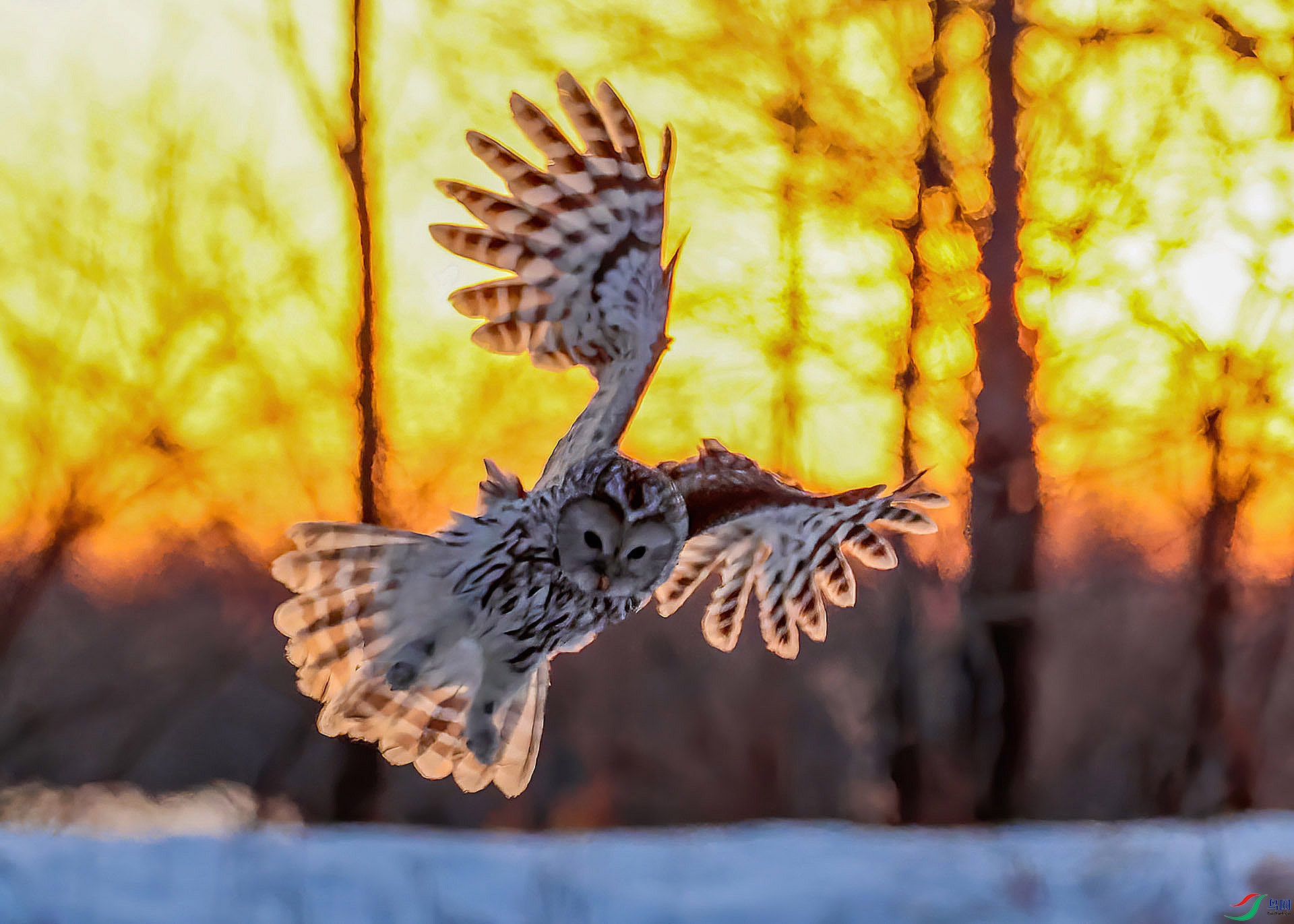��β���^ E8A2237----3333-Dese.jpg