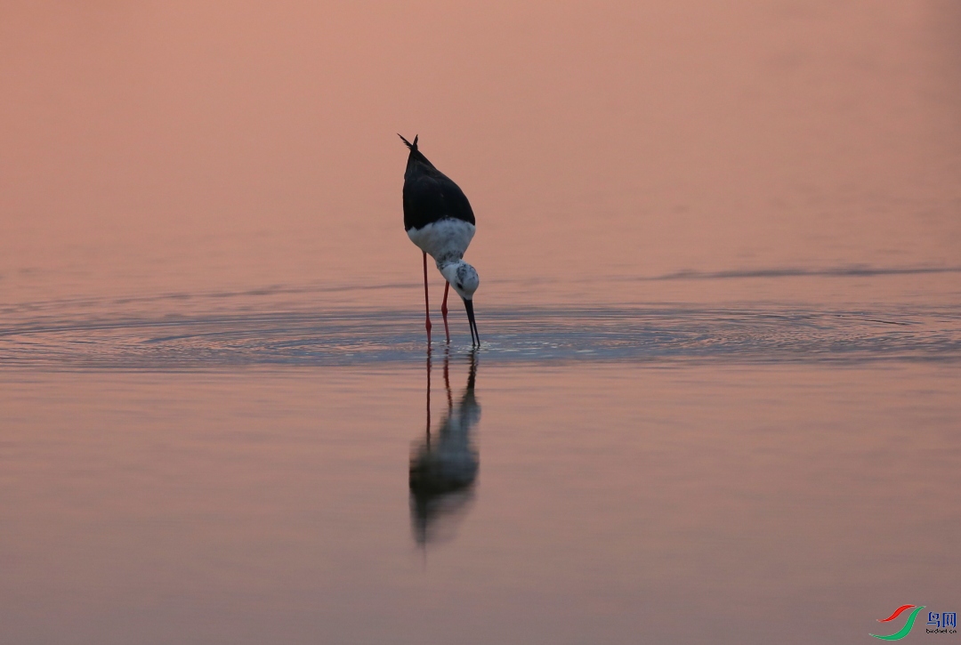 F00A0862.JPG