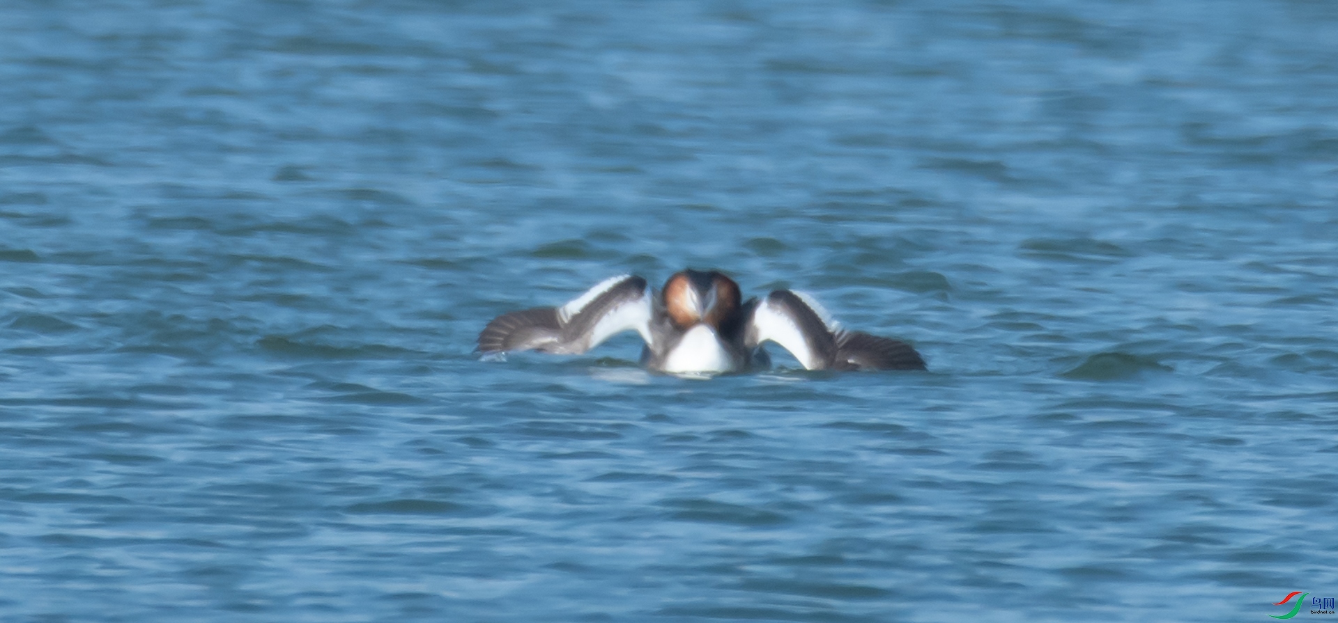 DSC_6986.jpg