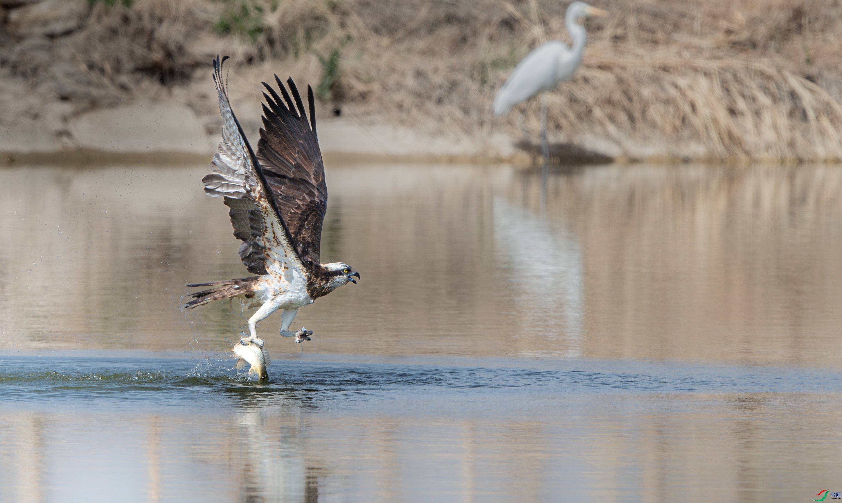 AY8I0825--NR ����.jpg