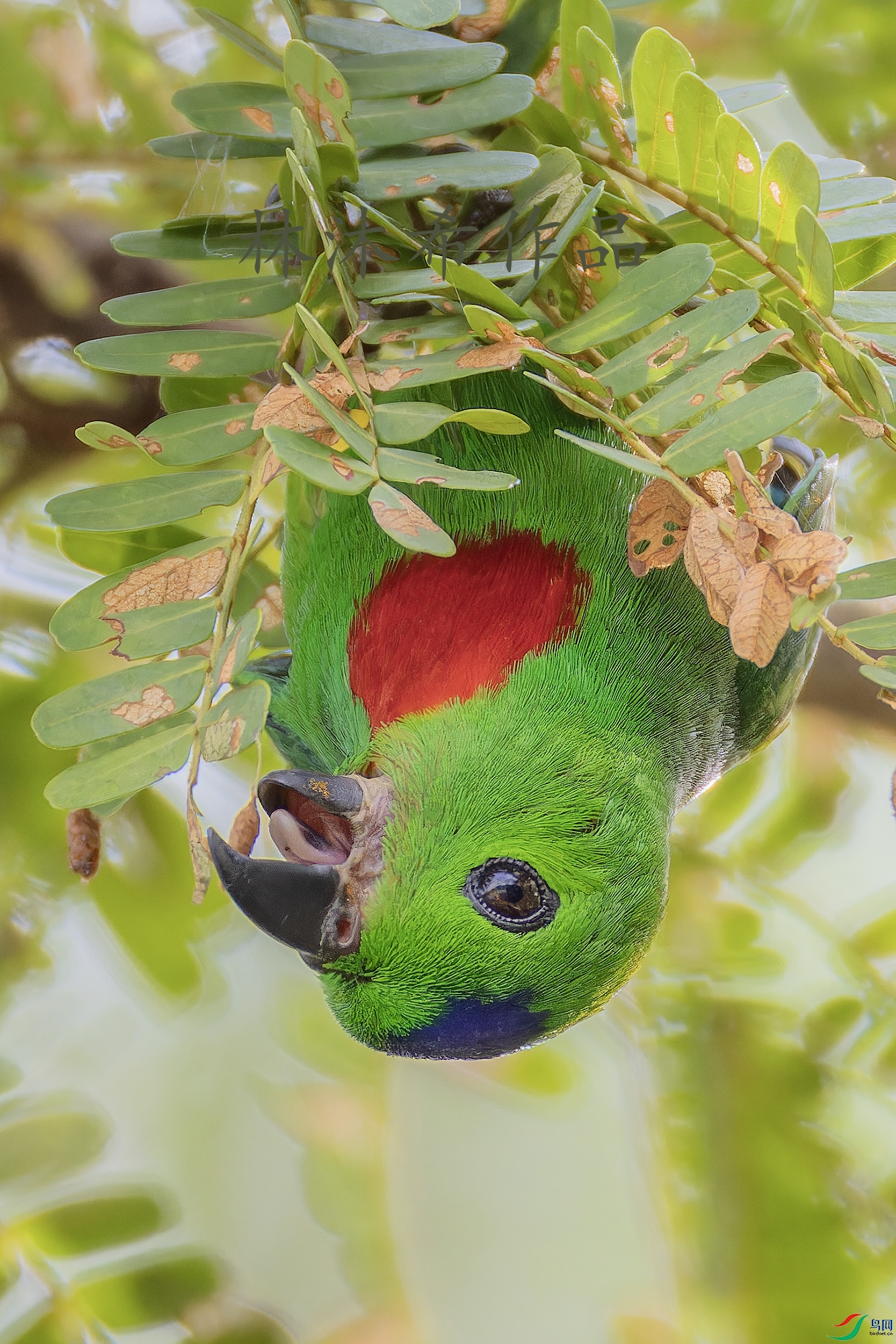 _97A1999-CR3 copy.jpg