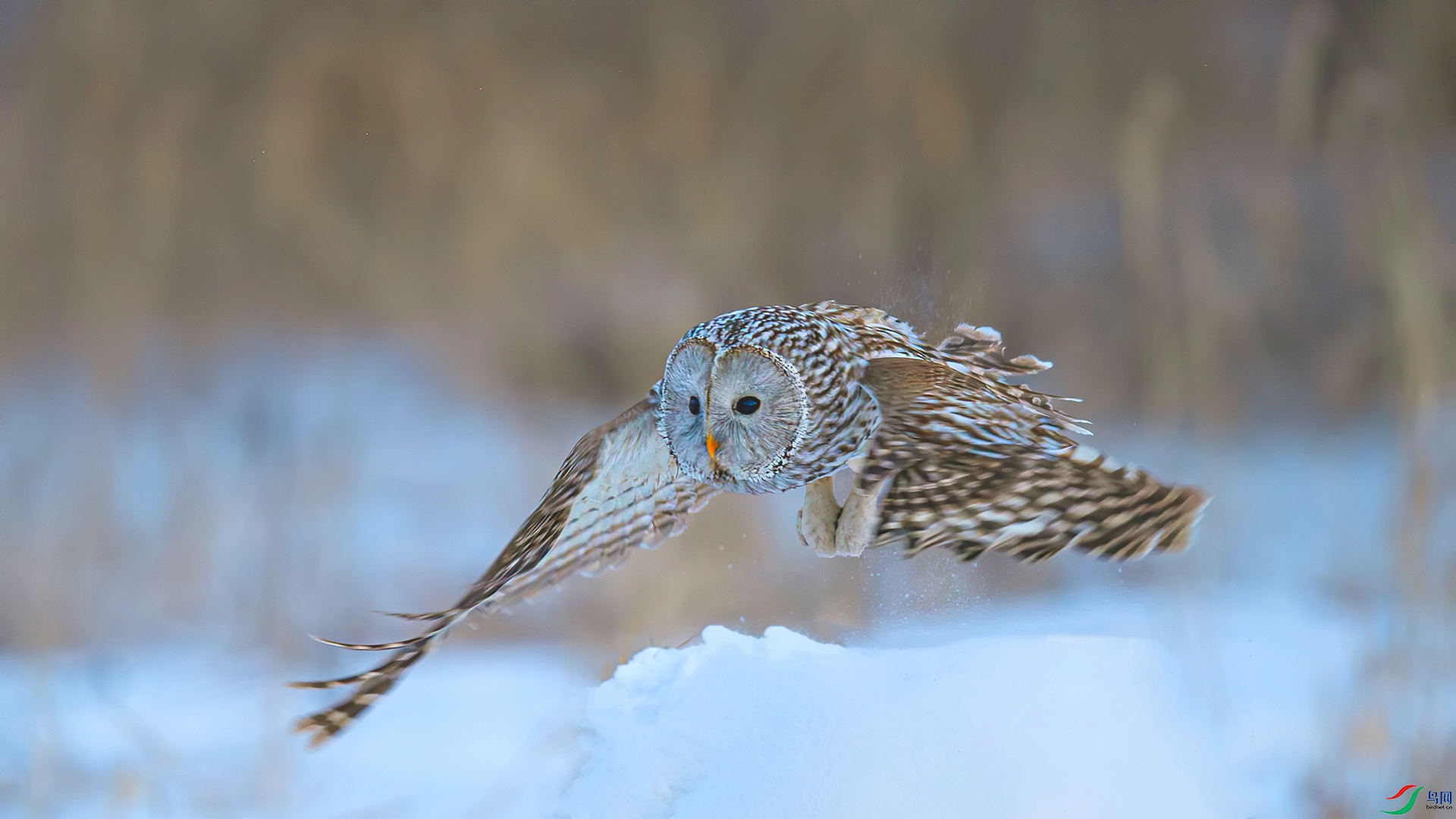 _DSC1454==2w.jpg