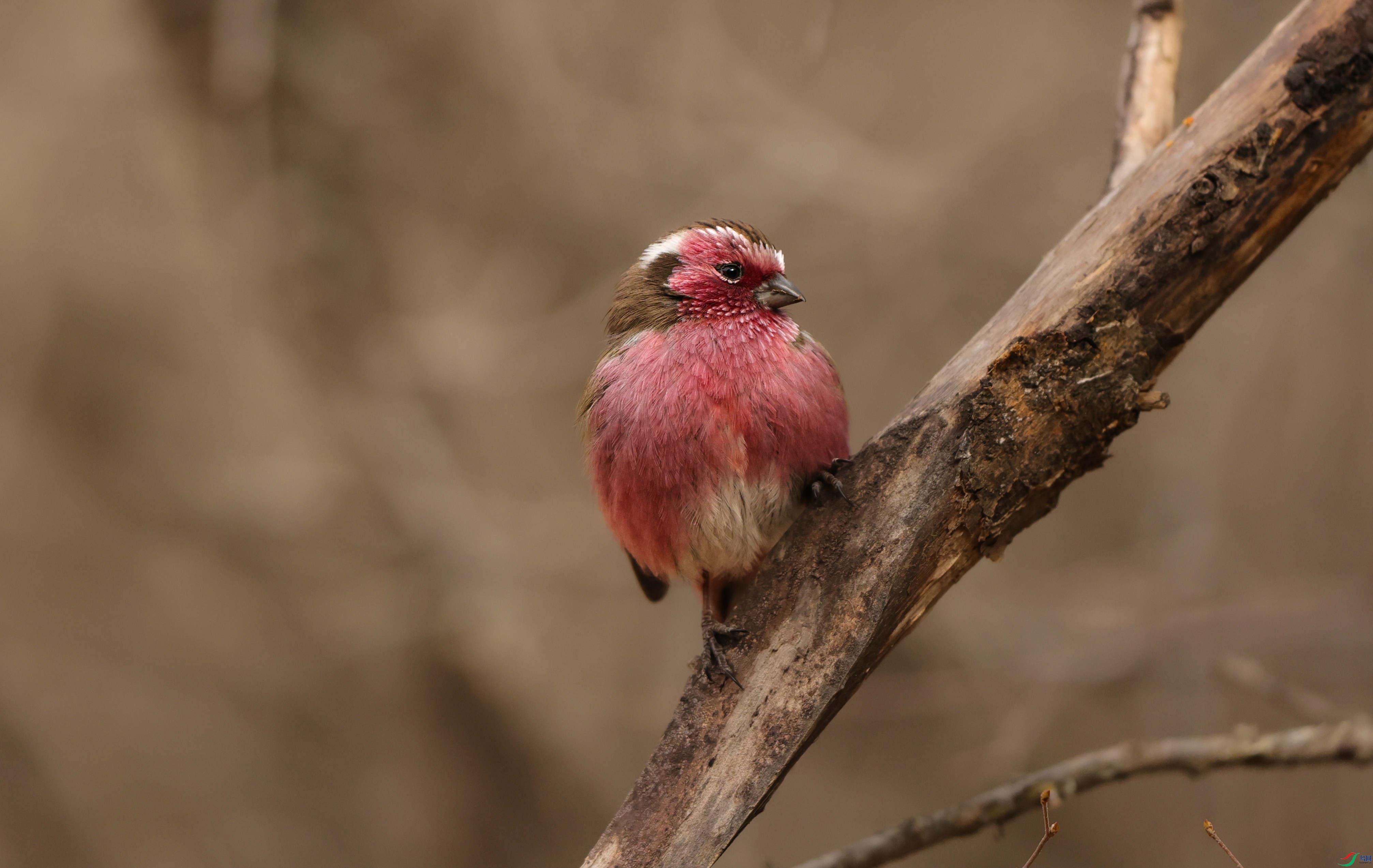 7X5A0180 - ����.JPG