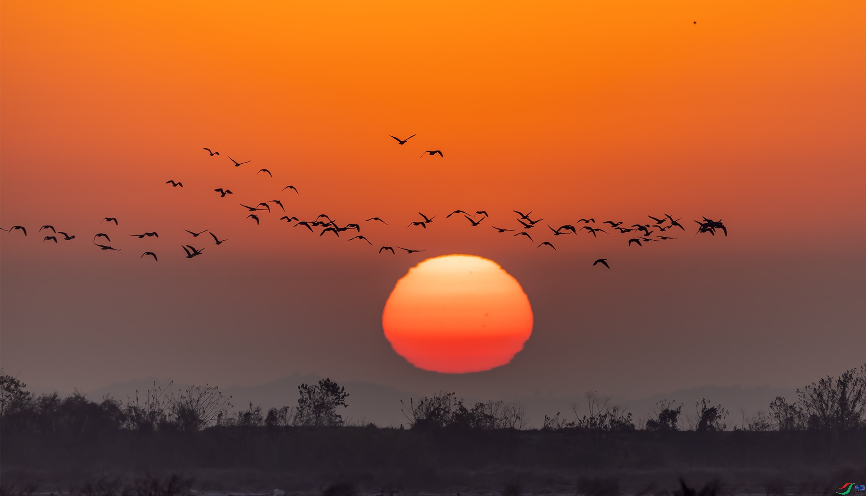 2.27 л������ʦ��Ʒ  �ճ�����(7)  �ٻ�2024��2��27�հ�����ҳ����.jpg