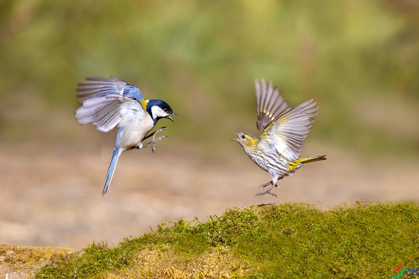 2.27 Ұâ��ʦ��Ʒ  ɽȸ��ս��ȸ  �ٻ�2024��2��27����Ӱʦ��ҳ����.jpg