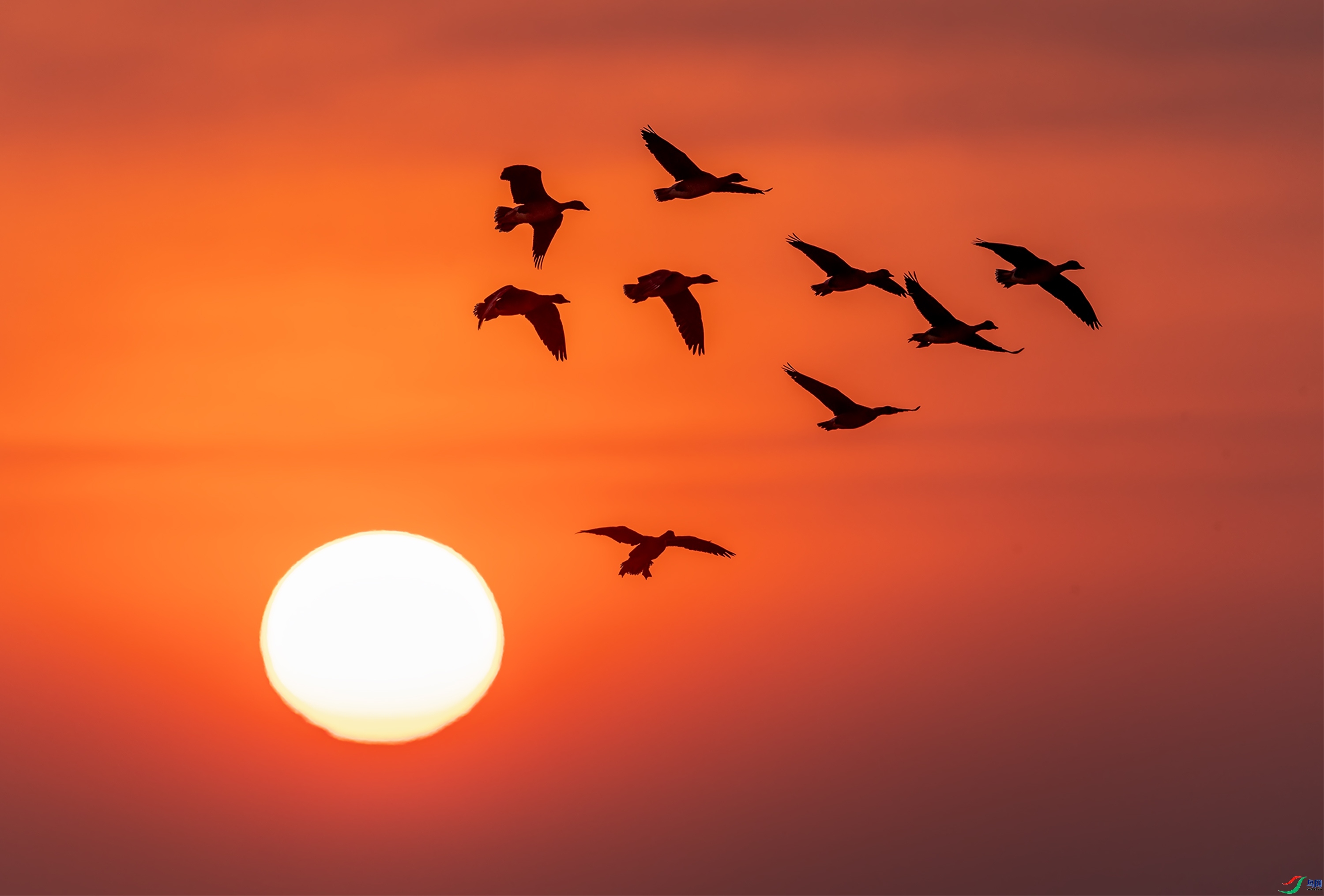 2.28 ��Ӱ������ʦ��Ʒ  ����Ϧ��  �ٻ�2024��2��28��������ҳ����.jpg