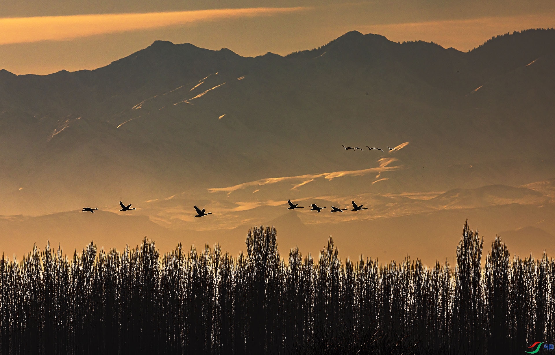 2.28 ˼�������ʦ��Ʒ  ���Ͻ���  �ٻ�2024��2��28�ջ�Ա��ҳ����.jpg