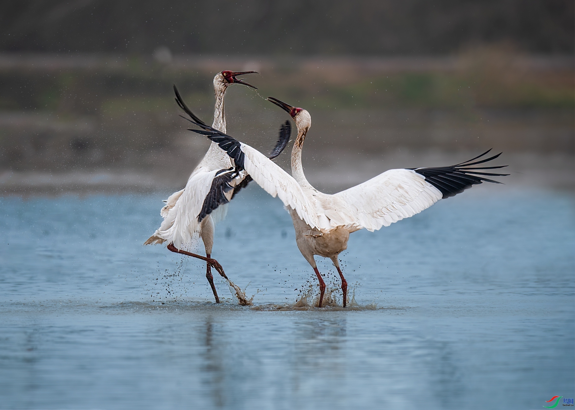 2.28 �ܴ�99��ʦ��Ʒ  һ������  �ٻ�2024��2��28����Ӱʦ��ҳ����.jpg