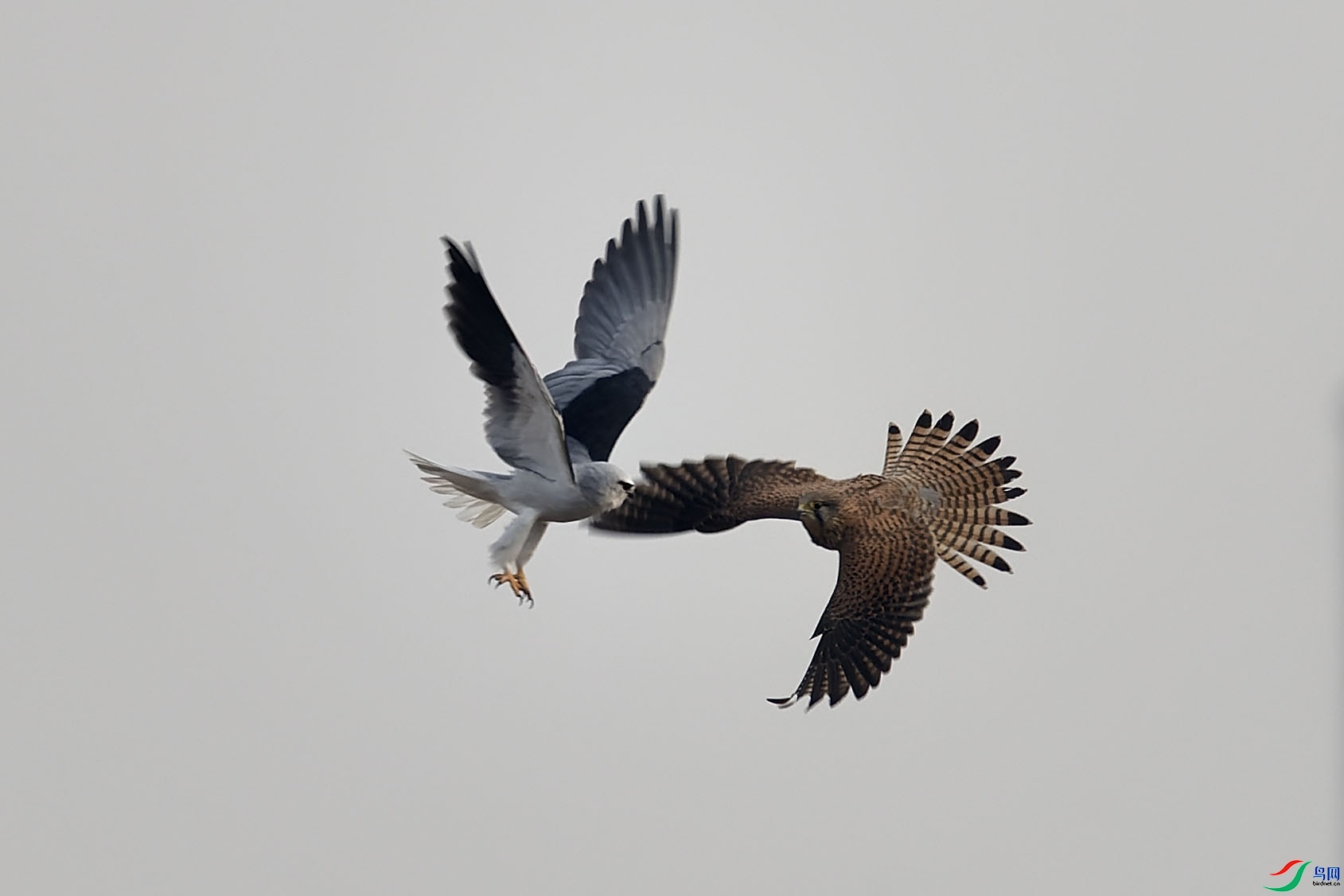 2.29 ���̲�����׺�����ʦ��Ʒ  ��·���  �ٻ�2024��2��29��������ҳ����.jpg