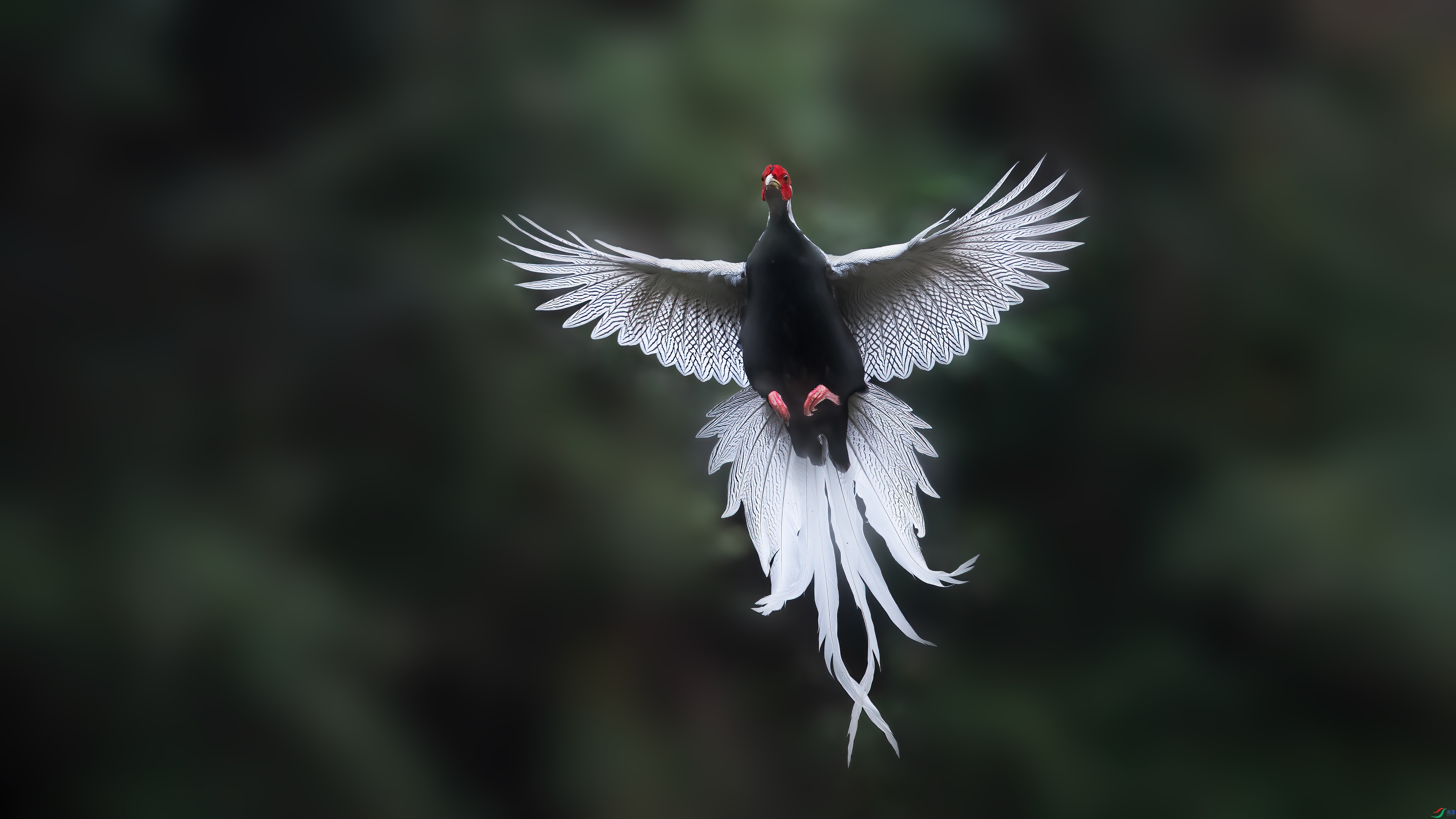 2.29 С������ʦ��Ʒ  ӭ�����  �ٻ�2024��2��29�հ�����ҳ����.jpg