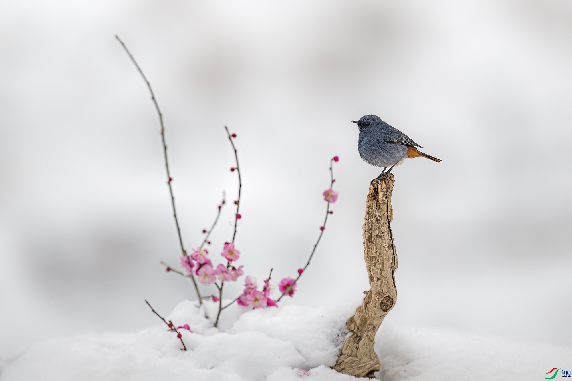 2.29 ������ʦ��Ʒ  ������������������  �ٻ�2024��2��29��������ҳ����.jpg