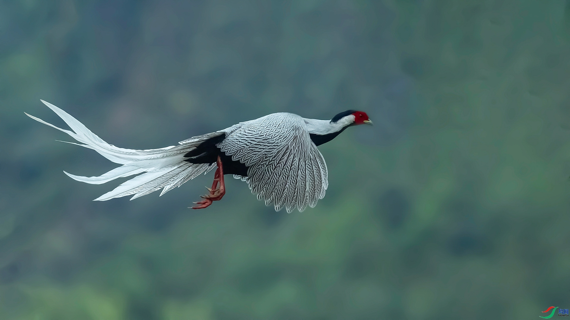 3.1 ��������ʦ��Ʒ  ����  �ٻ�2024��3��1��������ҳ����.jpg