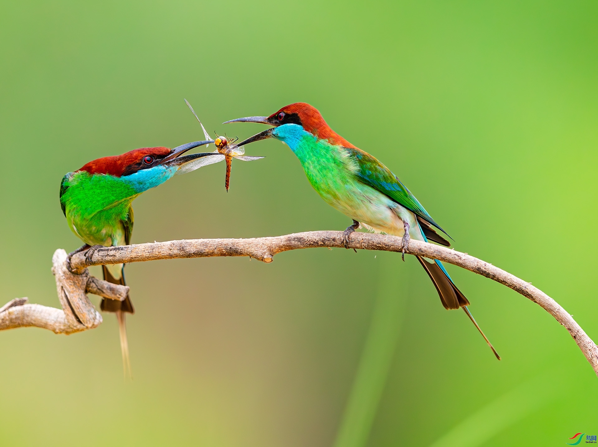 3.1 ����a��ʦ��Ʒ  ����ʱ��  �ٻ�2024��3��1�ջ�Ա��ҳ����.jpg