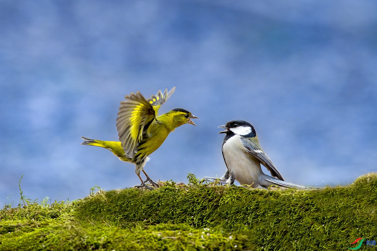 3.1 Ұâ��ʦ��Ʒ  ����Ի�  �ٻ�2024��3��1����Ӱʦ��ҳ����.jpg