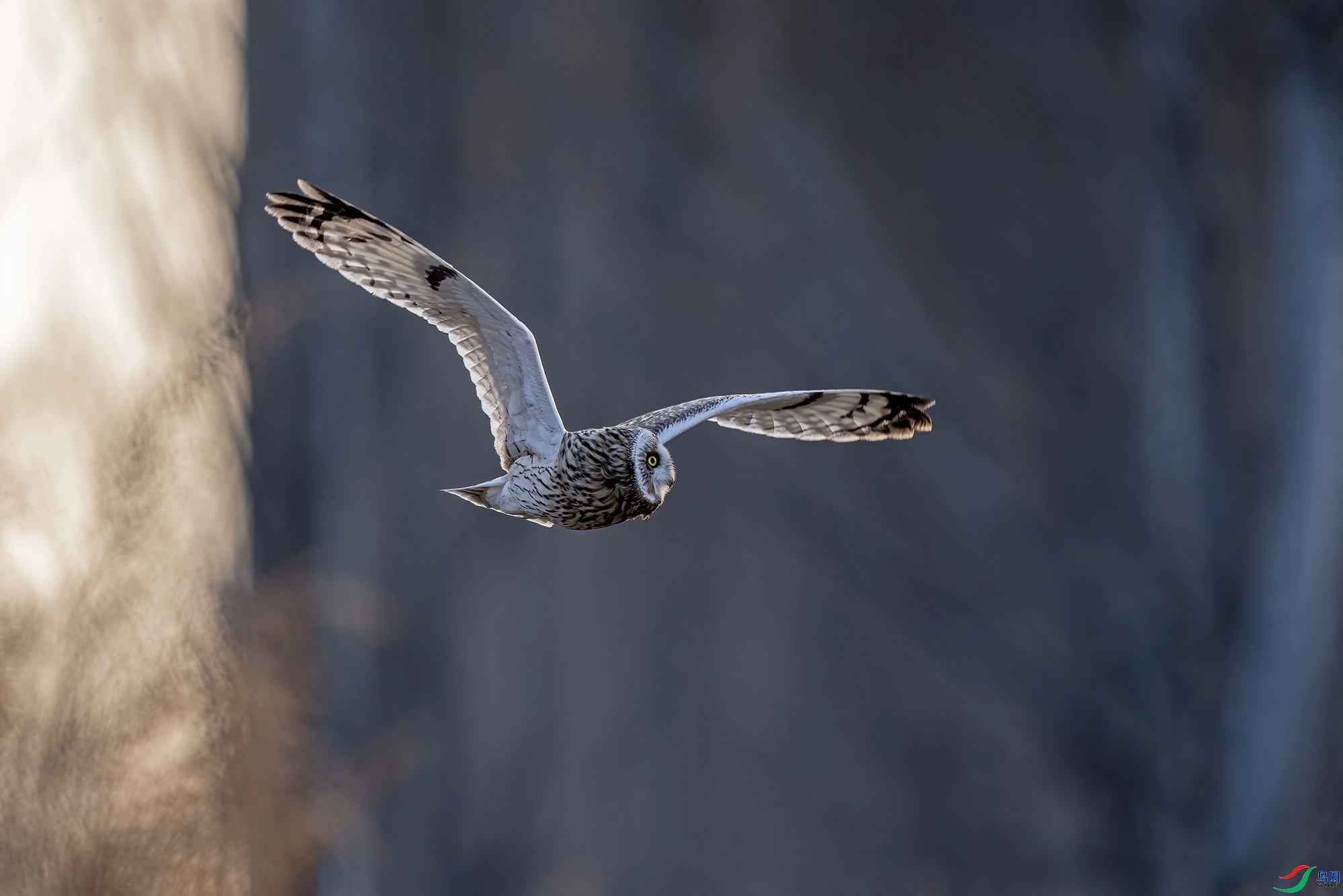 3.1 ������ʦ��Ʒ  �̶��^  �ٻ�2024��3��1��������ҳ����.jpg