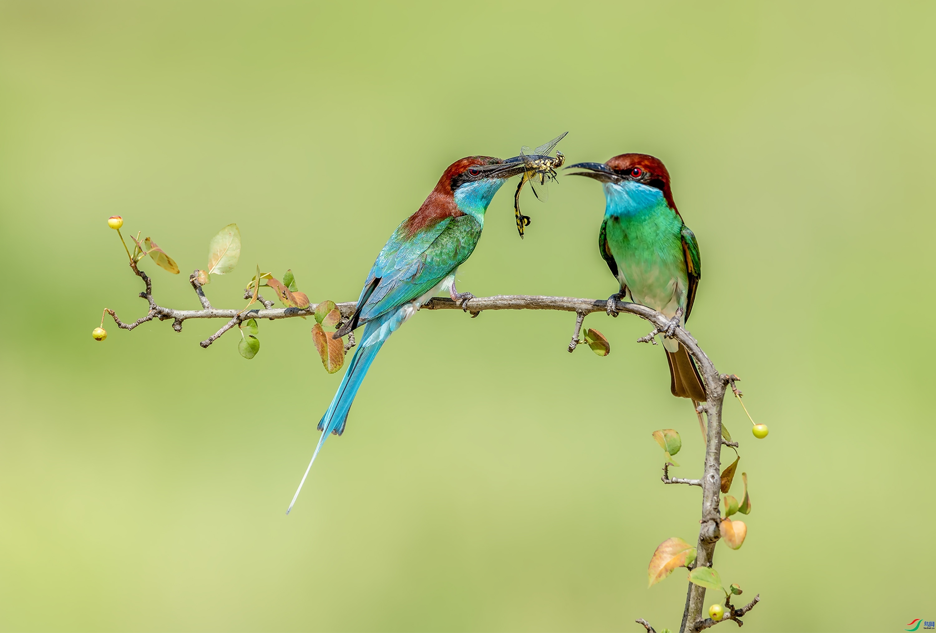 3.2 л������ʦ��Ʒ  �����仢  �ٻ�2024��3��2�հ�����ҳ����.jpg