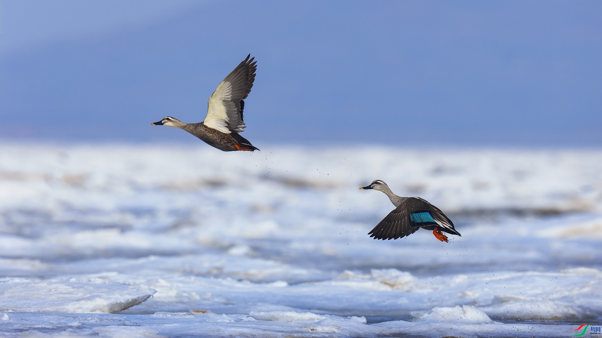 3.2  �ݸ�����ʦ��Ʒ  ����֮��  �ٻ�2024��3��2����Ӱʦ��ҳ����.jpg