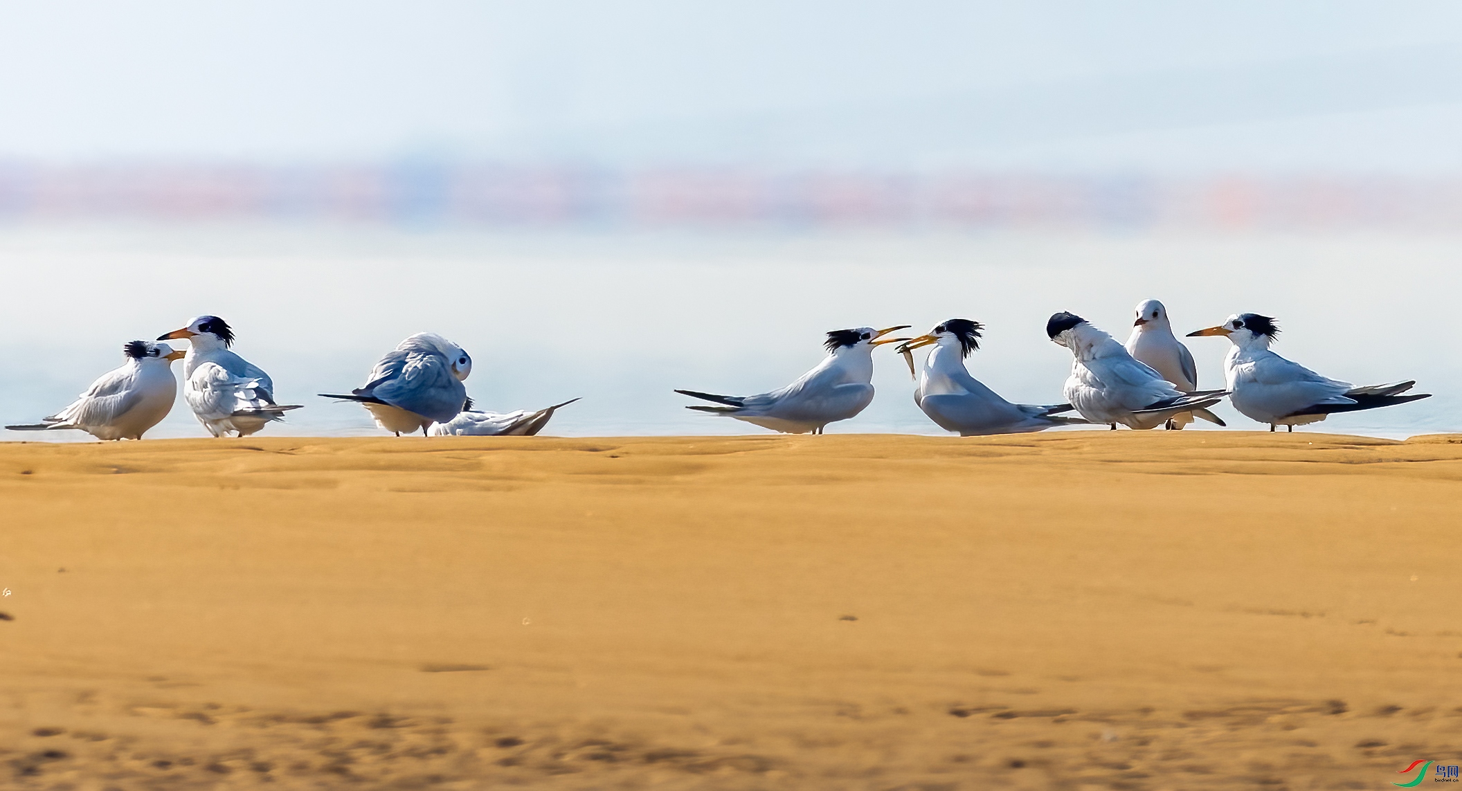 0B5A3961.jpg